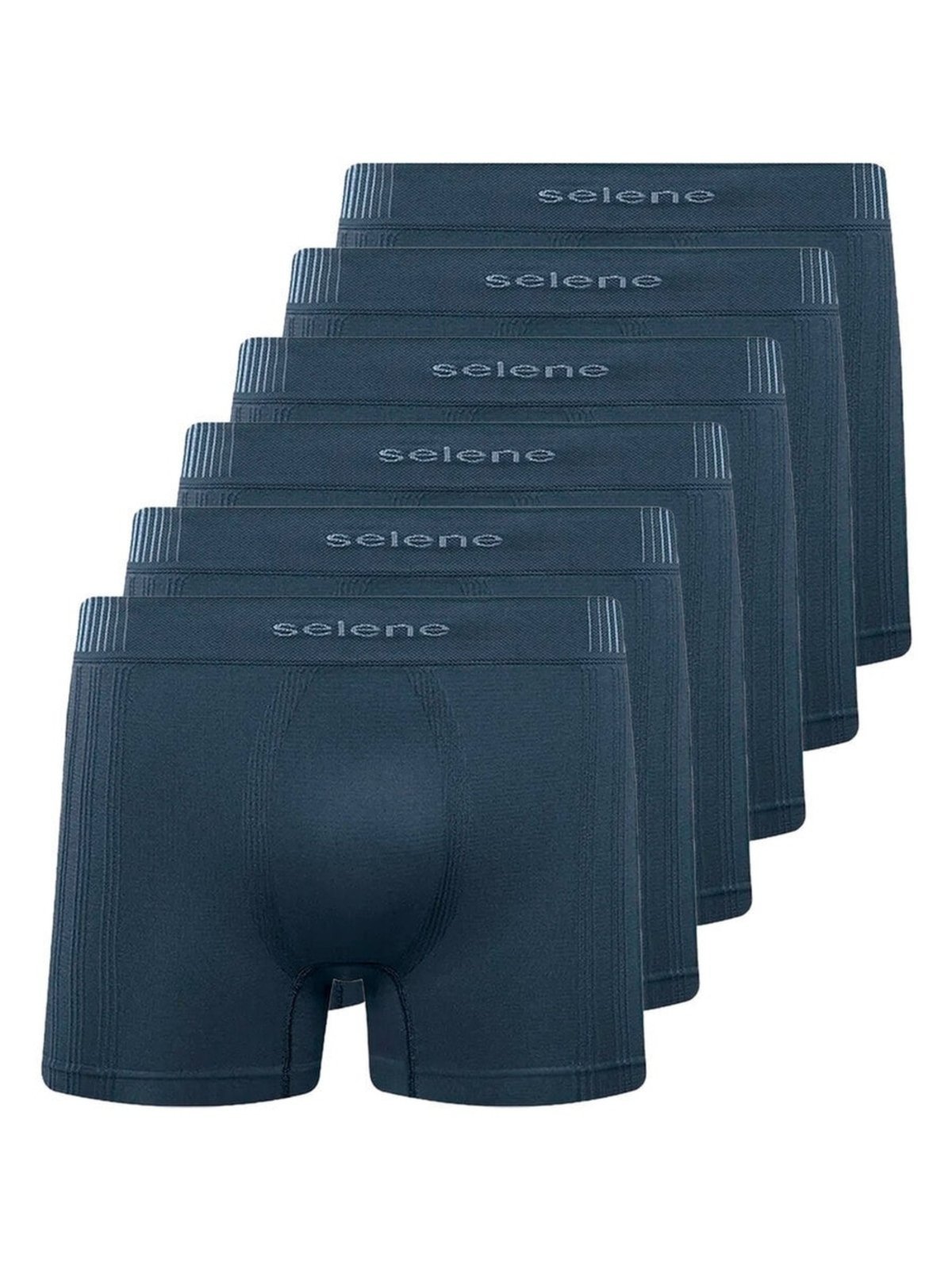 Kit com 6 Cuecas Boxer Selene 11070-002/003/440 Cinza