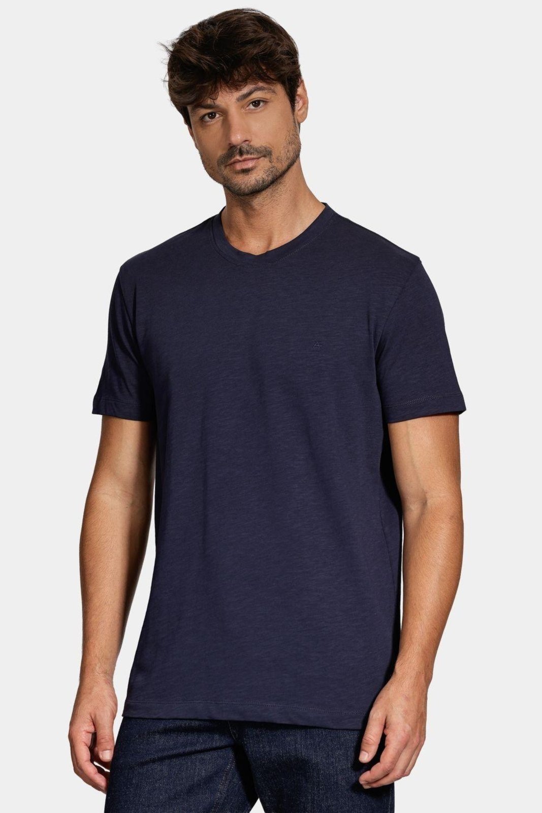 Camiseta Aramis Manga Curta Algodão Flamê