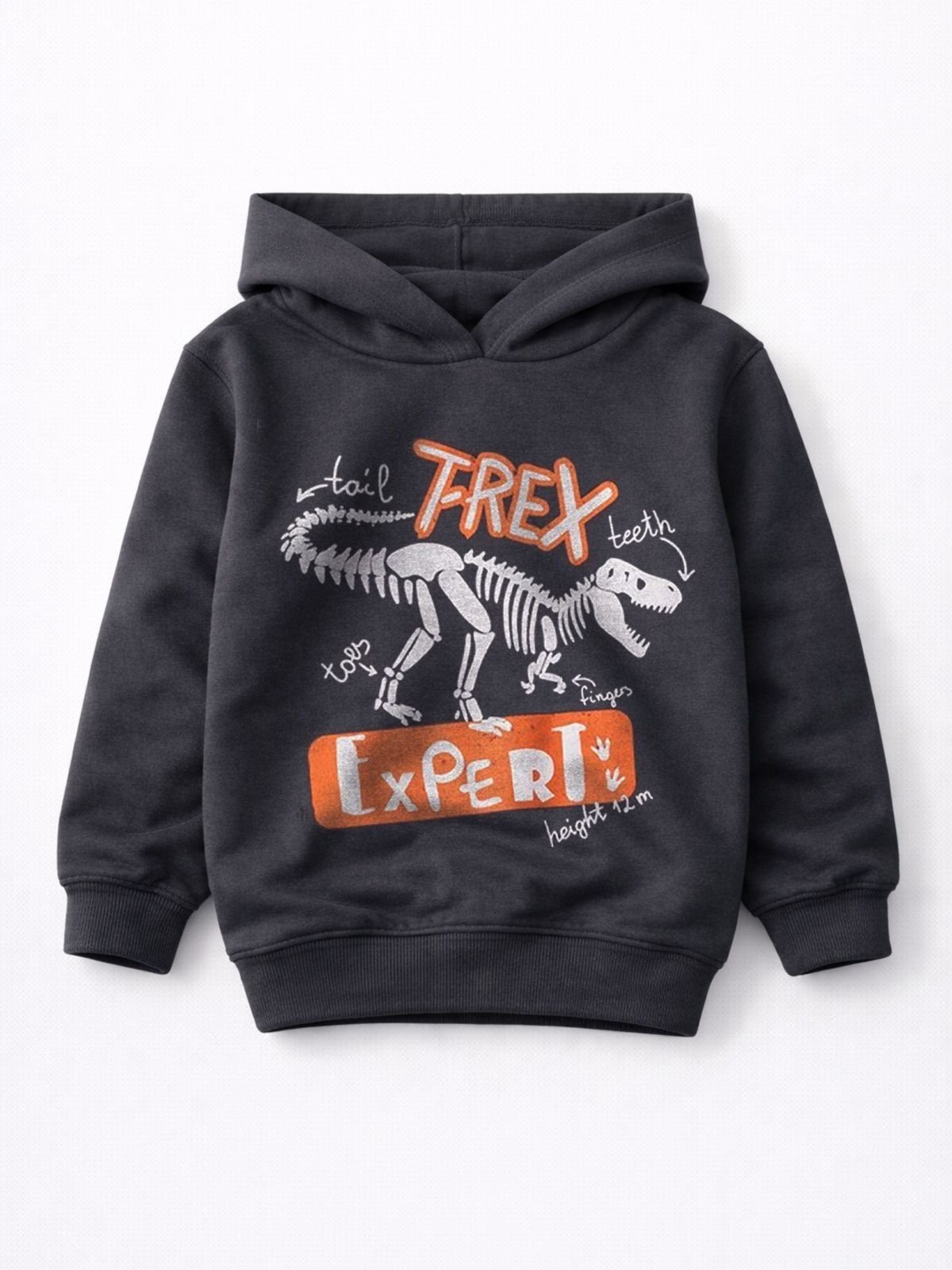 Infantil - Blusão Moletom Peluciado T-Rex - Grafite