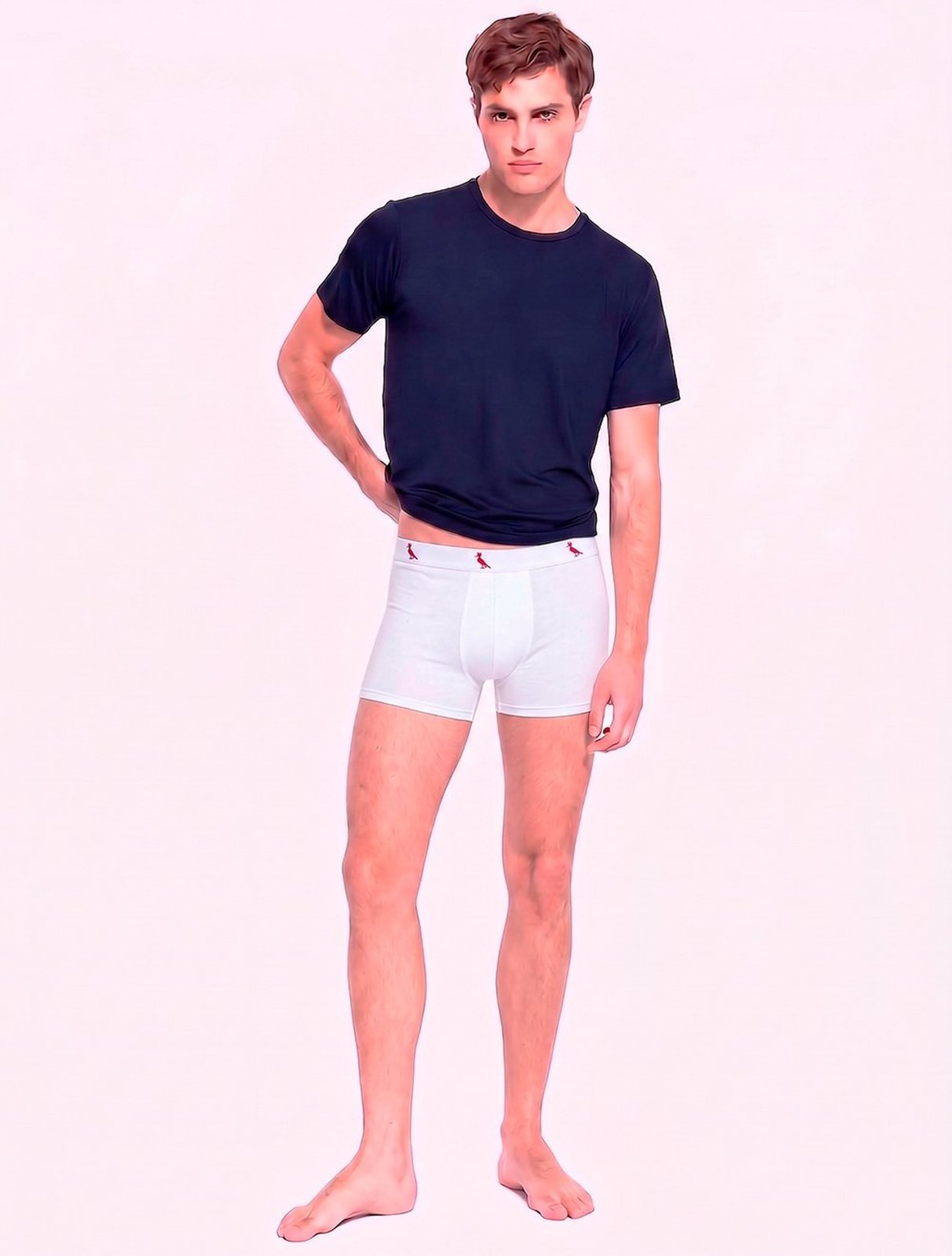 Cueca Reserva Masculina Boxer Red Woodpecker Cotton Branca