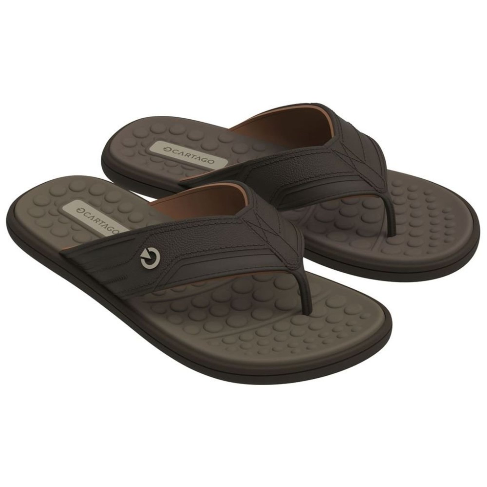 Chinelo Cartago Veneto Iii Dedo 12452 Masculino