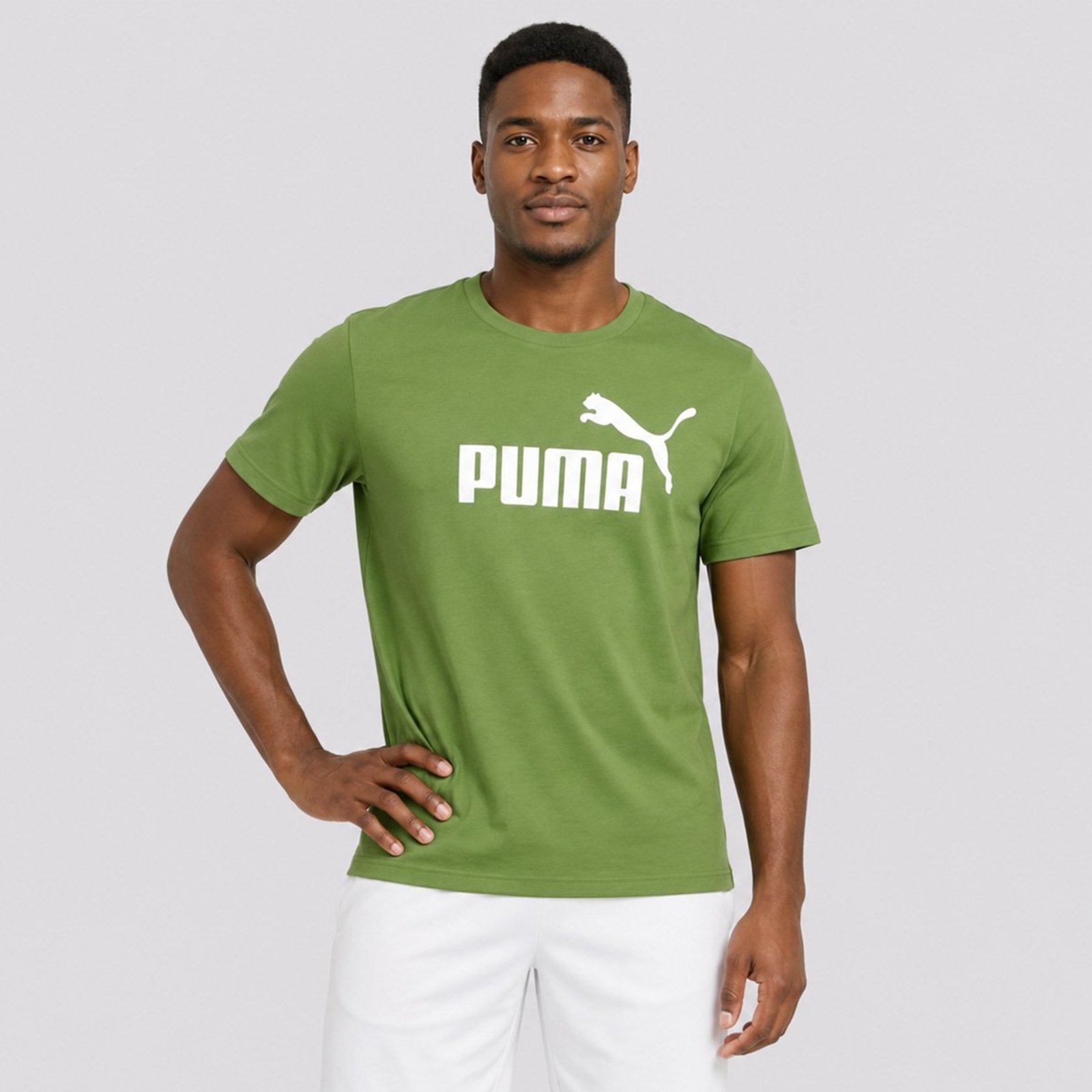 Camiseta Puma Ess No.1 Logo Tee S Verde