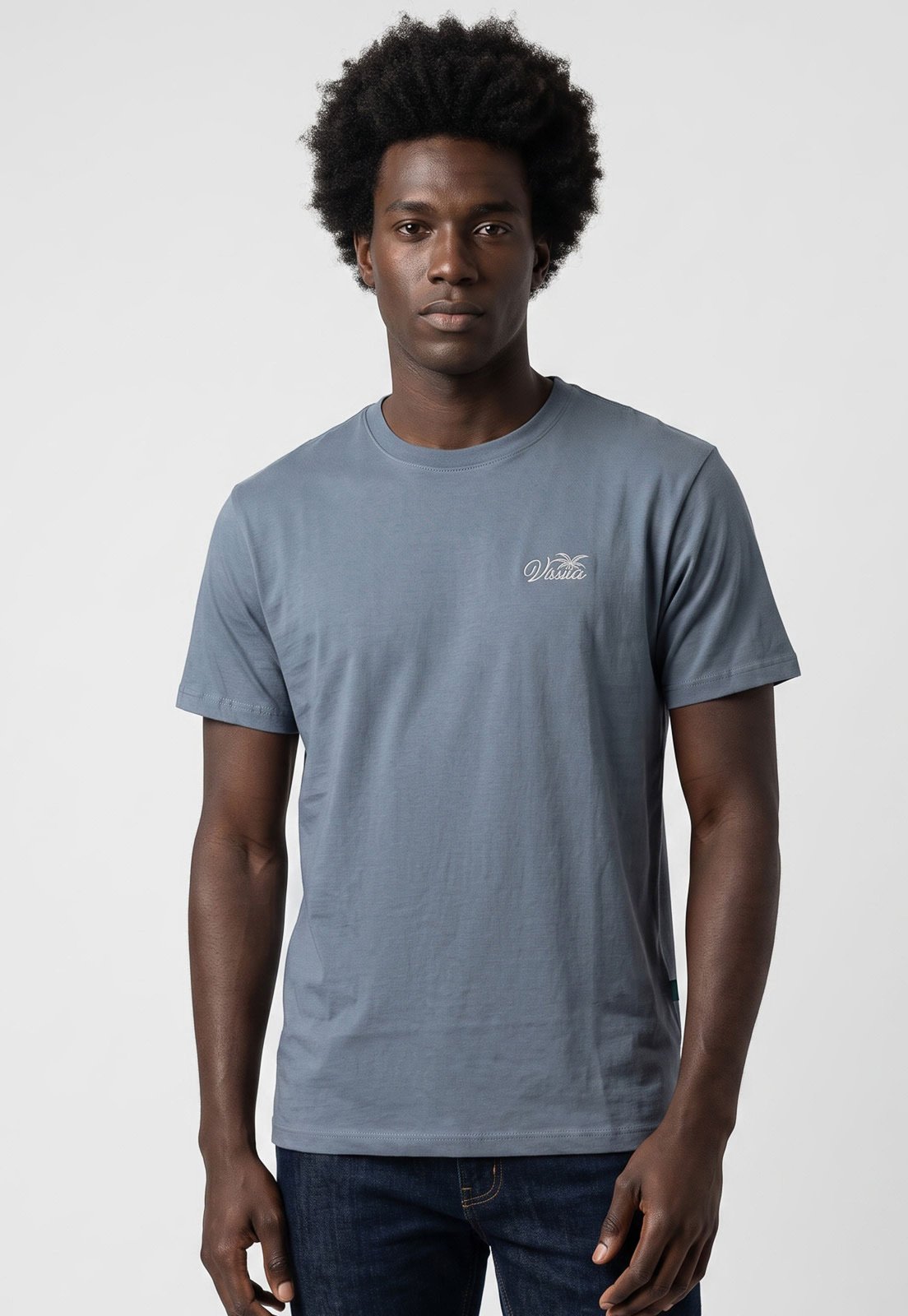 Camiseta Masculina Vissla Silk Essentials Azul