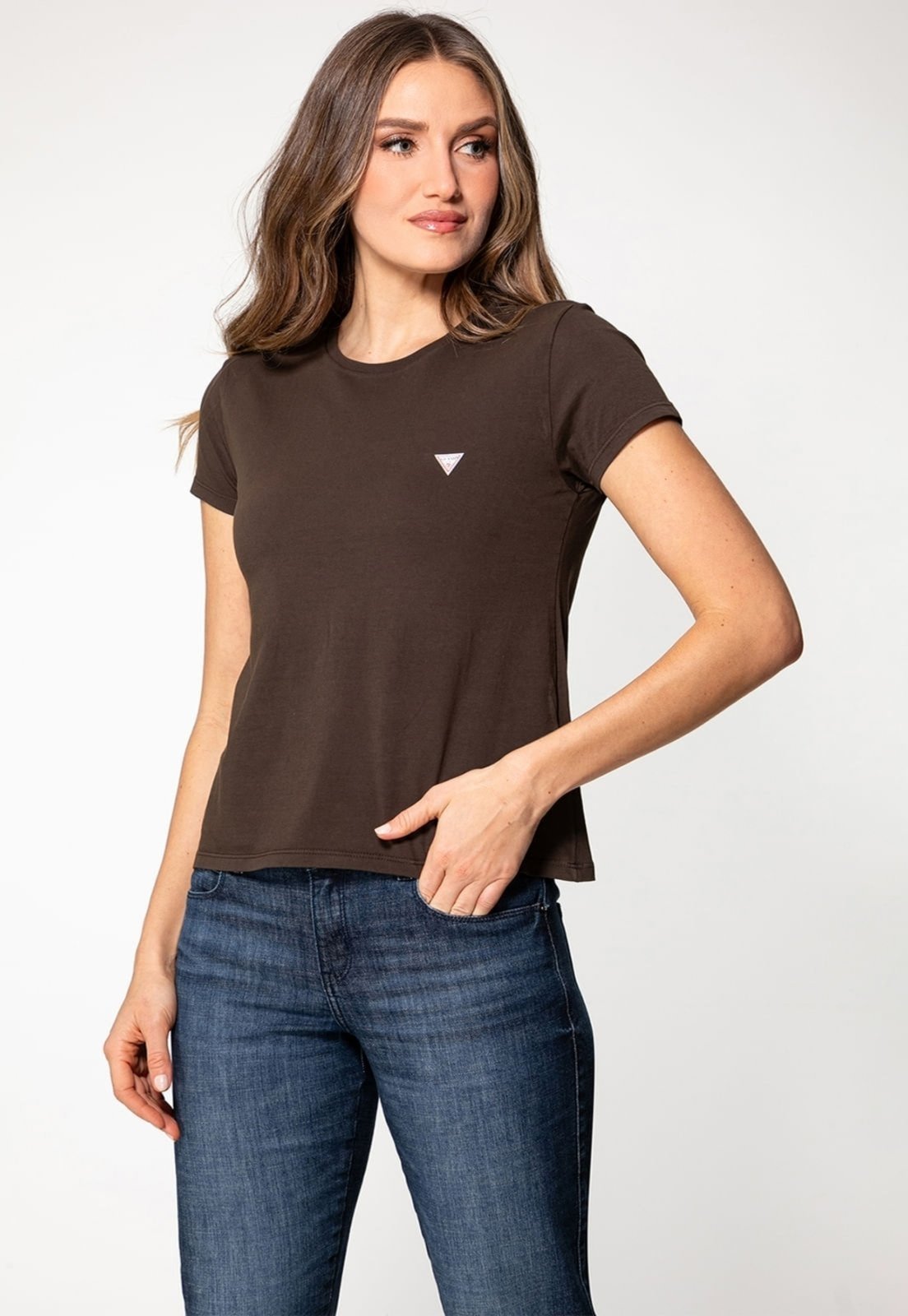 Camiseta Guess Triangulo Marrom