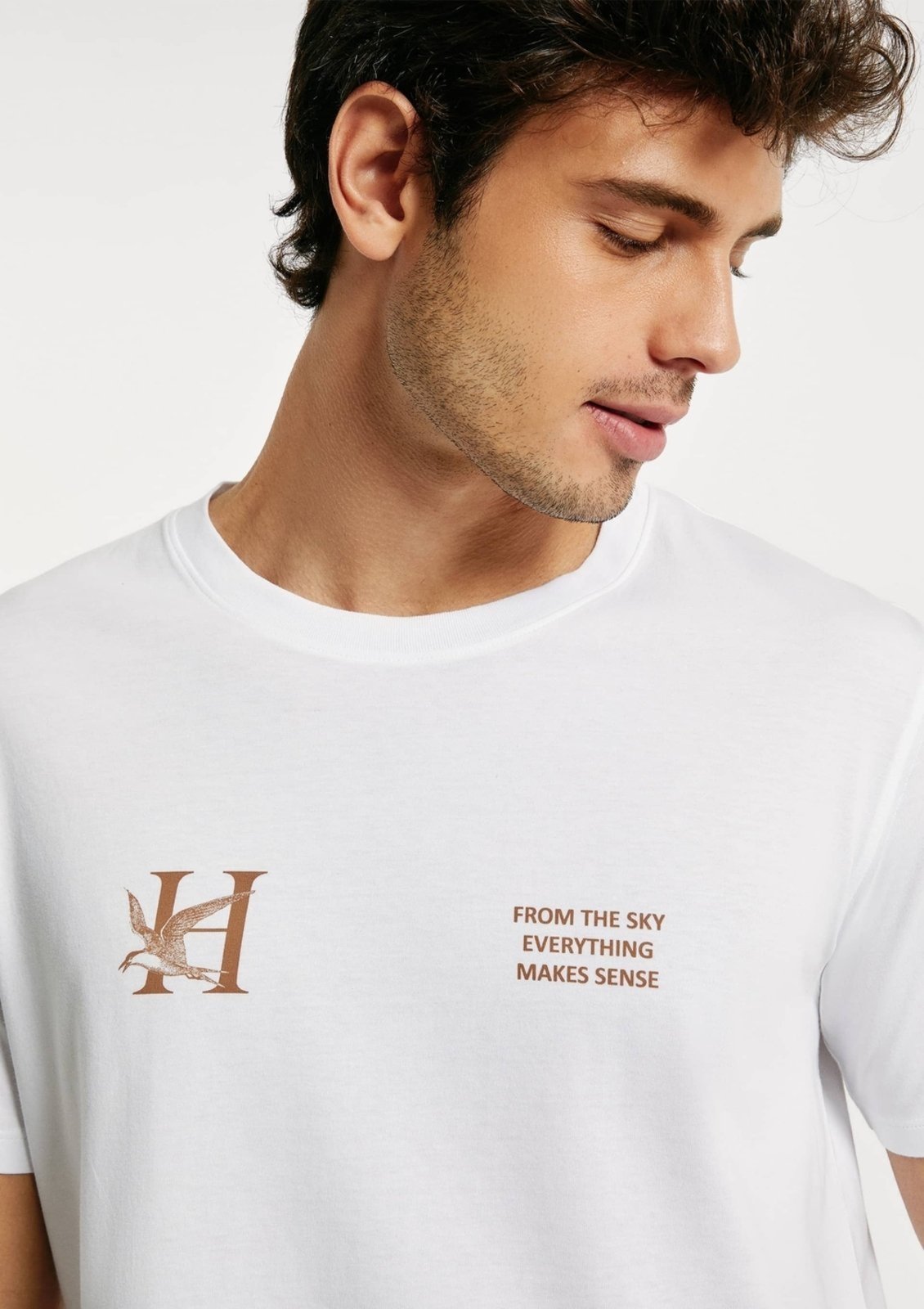 Vista 3 Camiseta Masculina Algodão Peruano Estampada Hering preto Hering preto