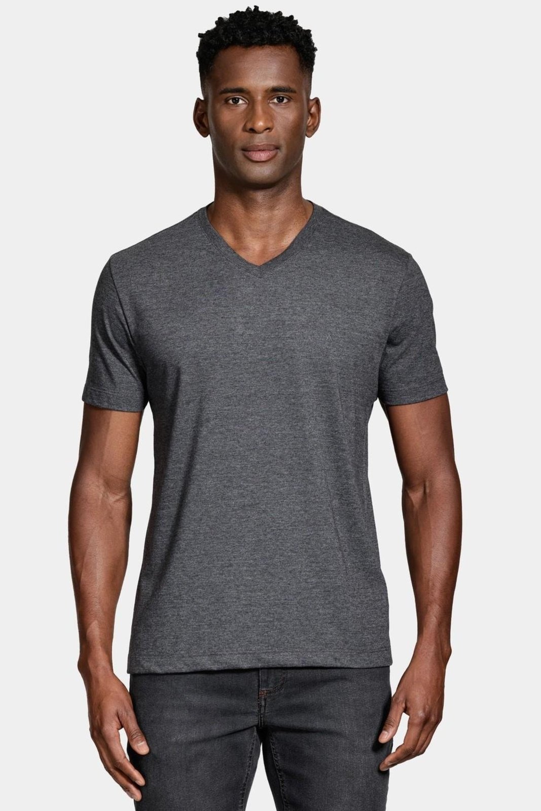 Camiseta Aramis Básica Gola v Manga Curta Grafite Mescla