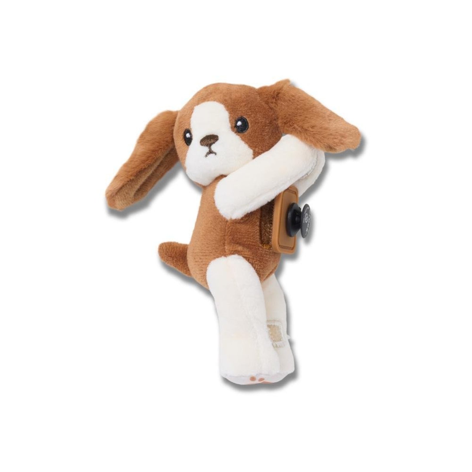 Infantil - Jibbitz™ Huggitz King Charles Spaniel Único Branco