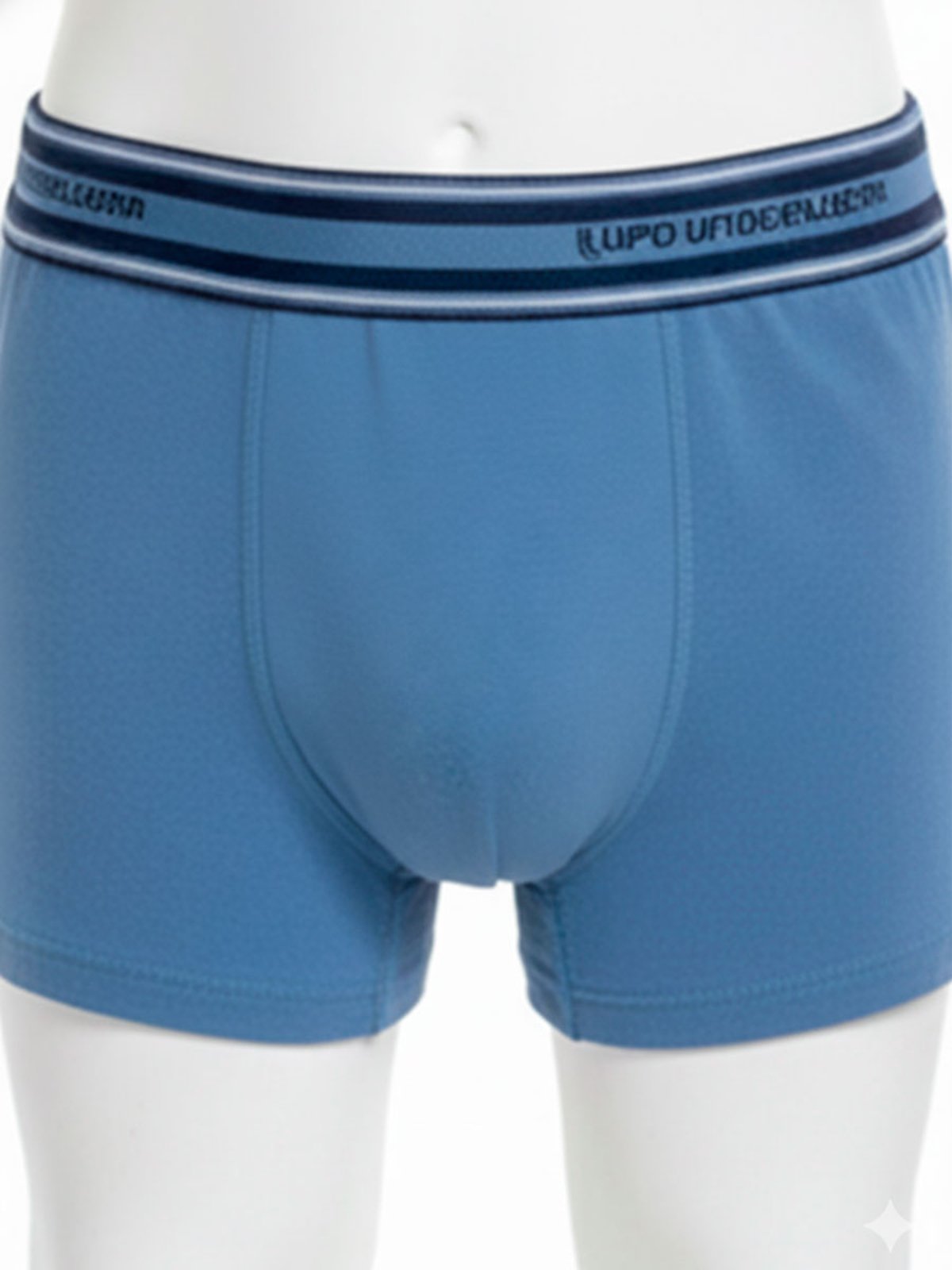 Cueca Boxer Lupinho 141-003