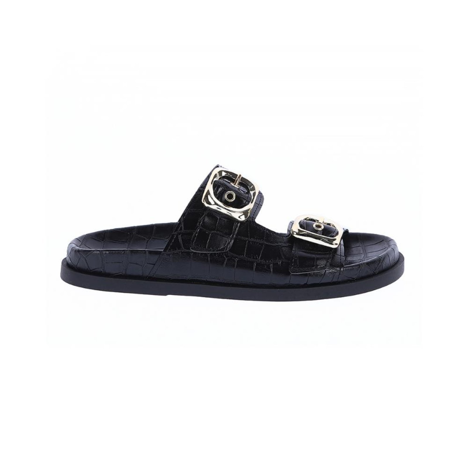Laila – Papete Flat Croco Preto com Fivelas Douradas Preto