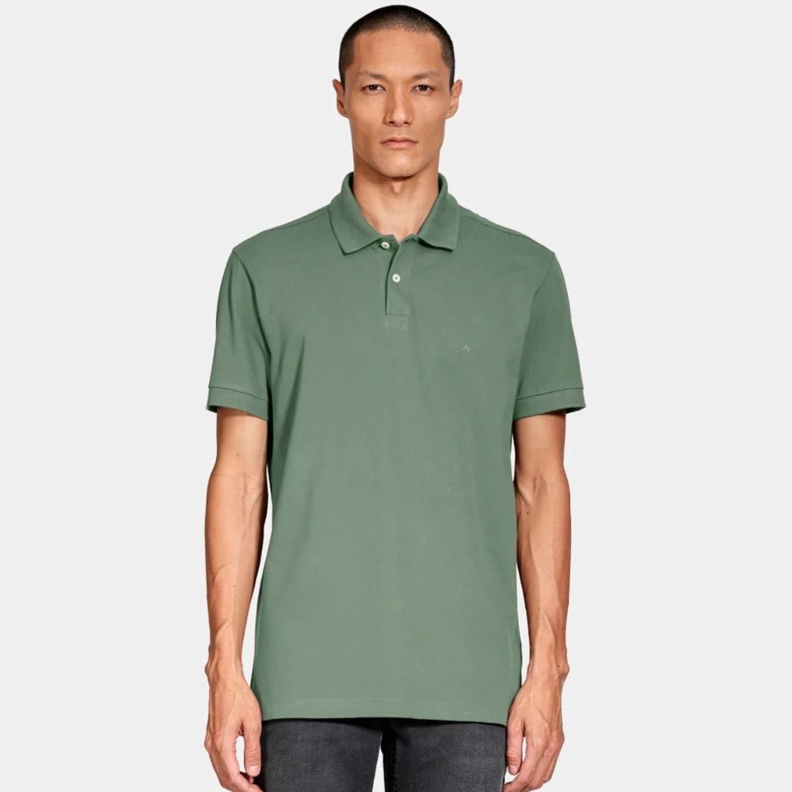 Camisa Polo Aramis Basic Piquet Pr26 Verde Masculino
