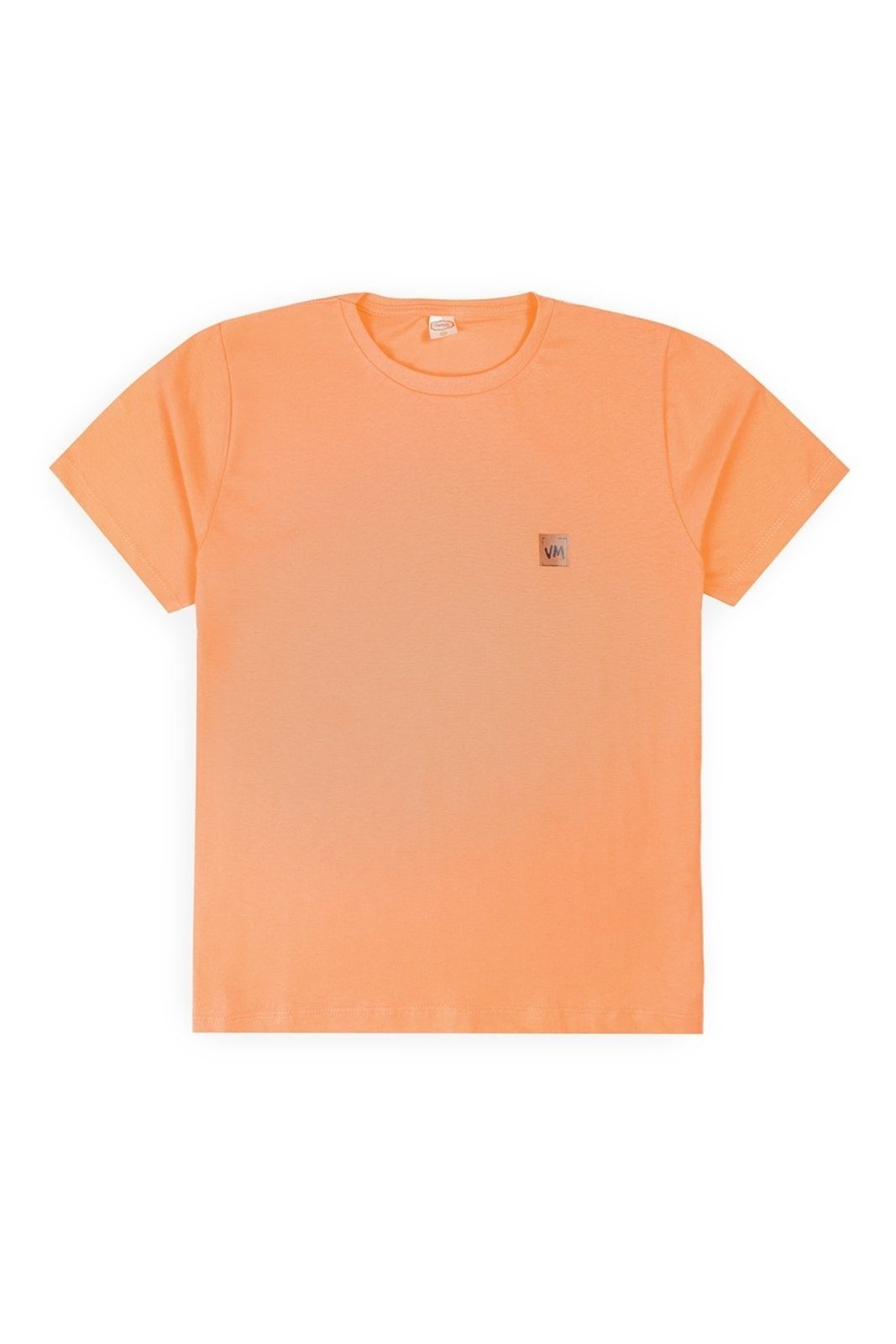 Infantil - Camiseta Meia Malha Juvenil Masculina Vitrine Madri