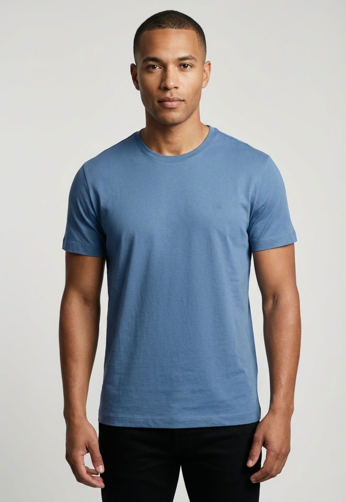 Camiseta Masculina Aramis Logo Bordado Azul