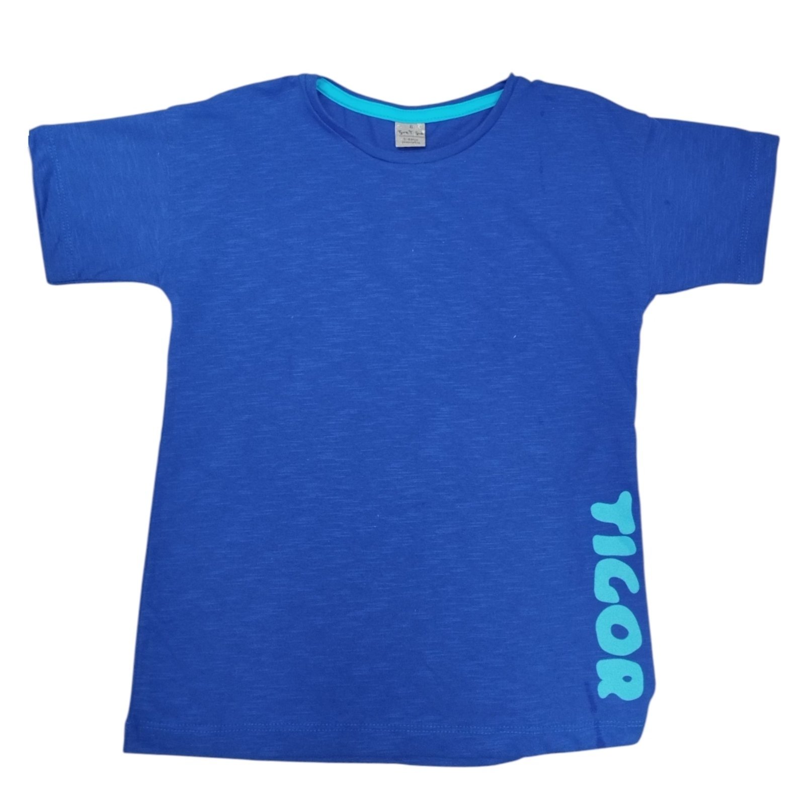 Infantil - Camiseta Manga Curta Menino Tigor T. Tigre