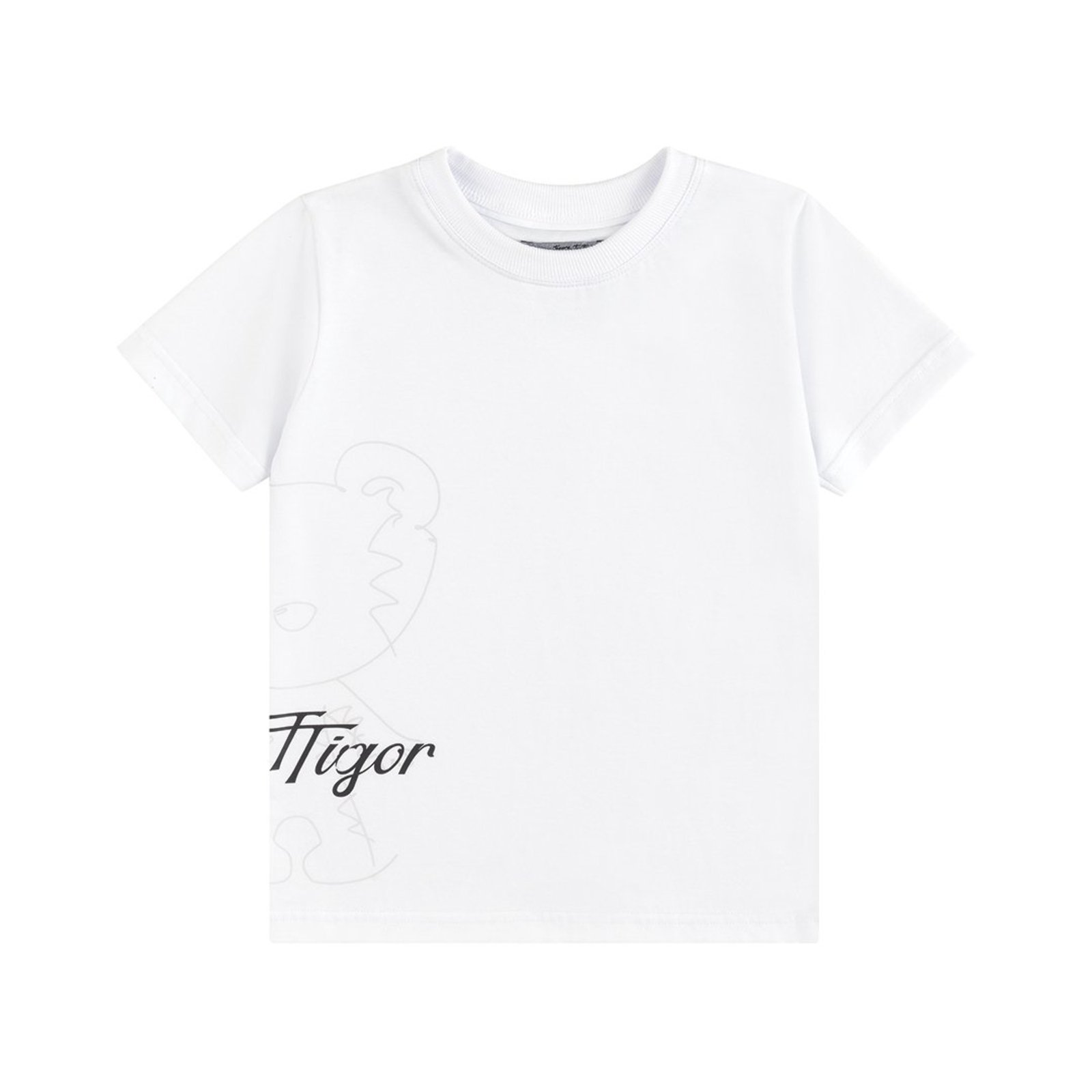 Infantil - Camiseta Manga Curta Menino Tigor T. Tigre