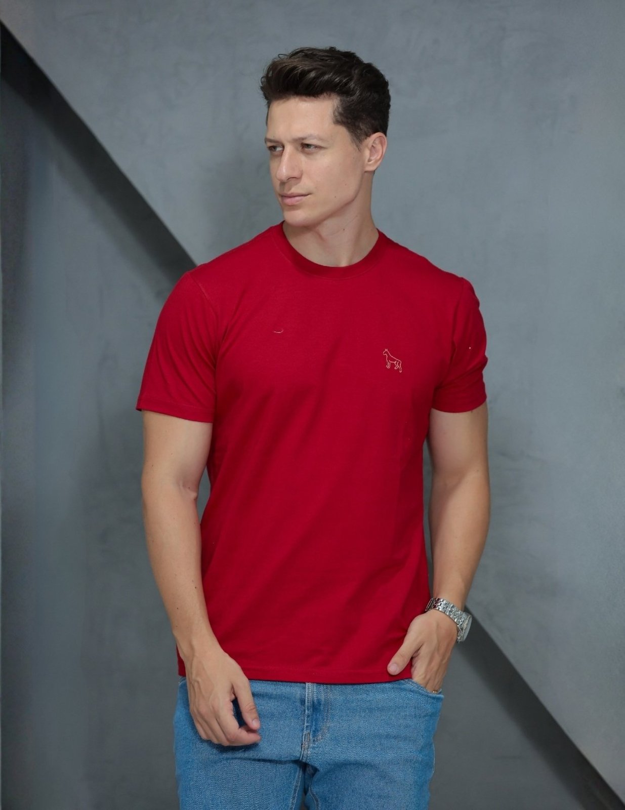 Camiseta Basica Masculino Revanche Foggio - 112402.BASIC