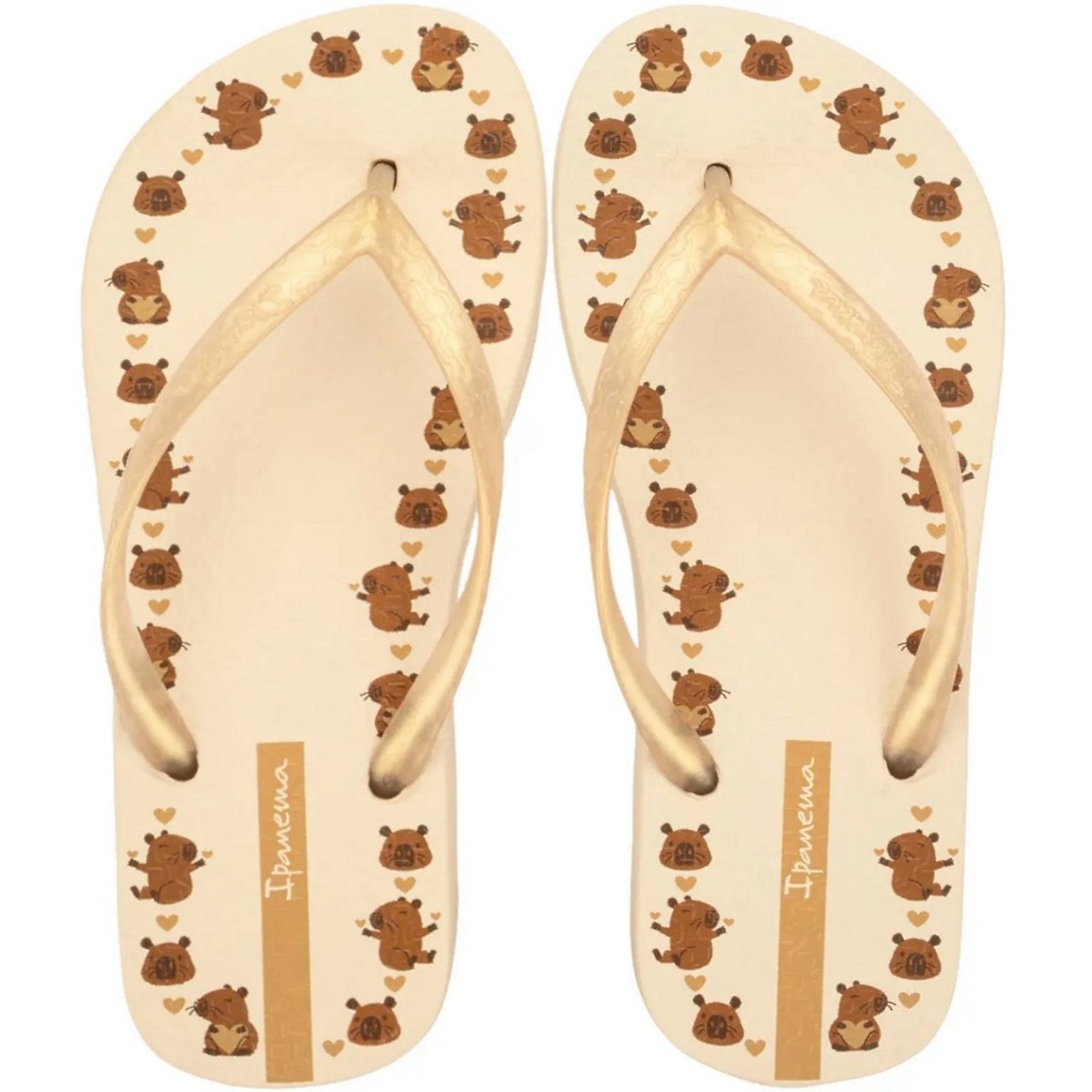 Infantil - Chinelo De Dedo Ipanema Day Estampado Menina