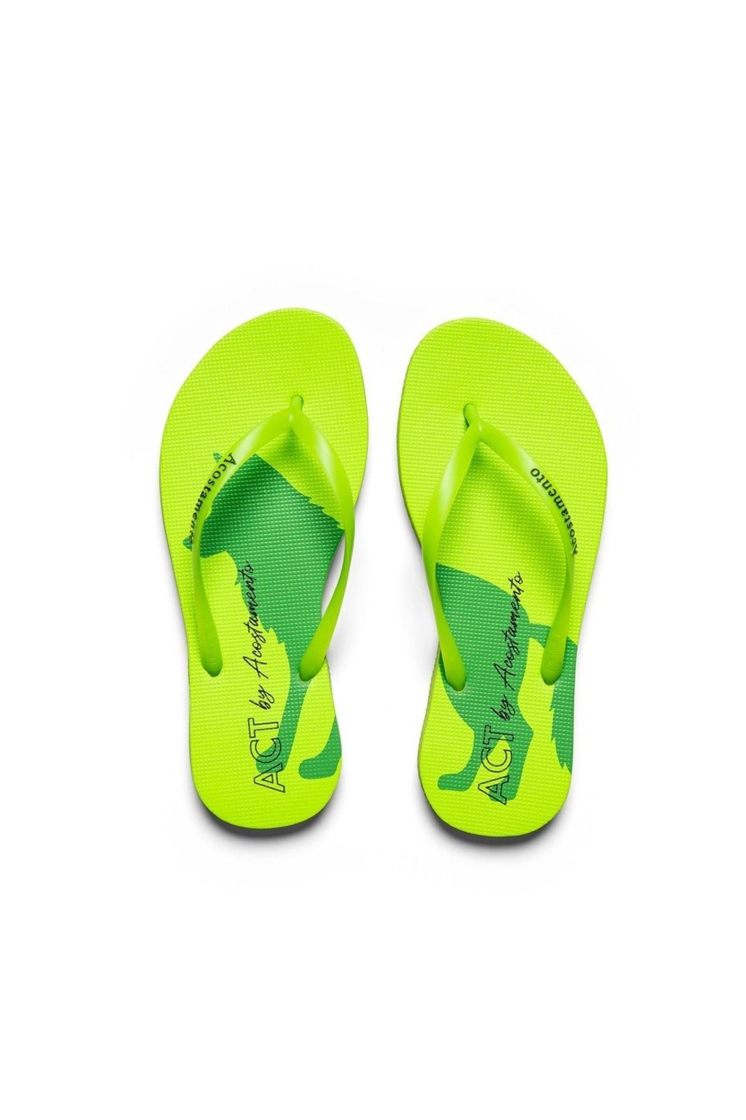 Chinelo Square Wolf Bright ACT Feminino