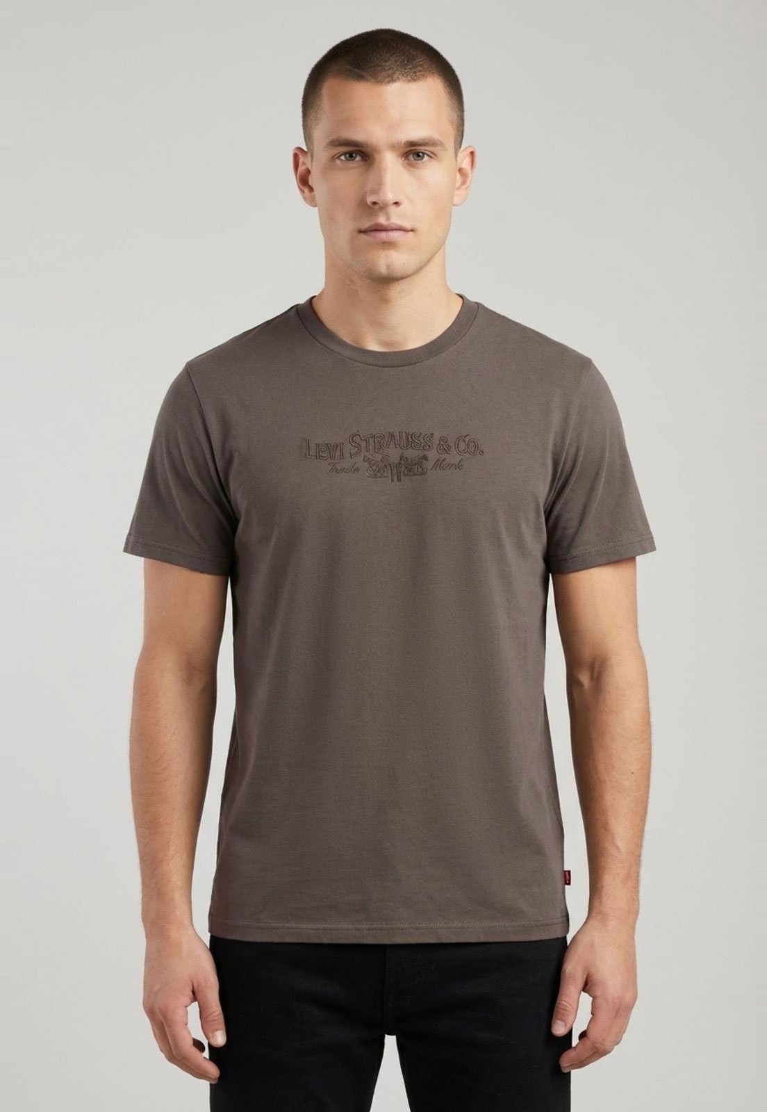 Camiseta Masculina Levis Estampa Frontal Marrom