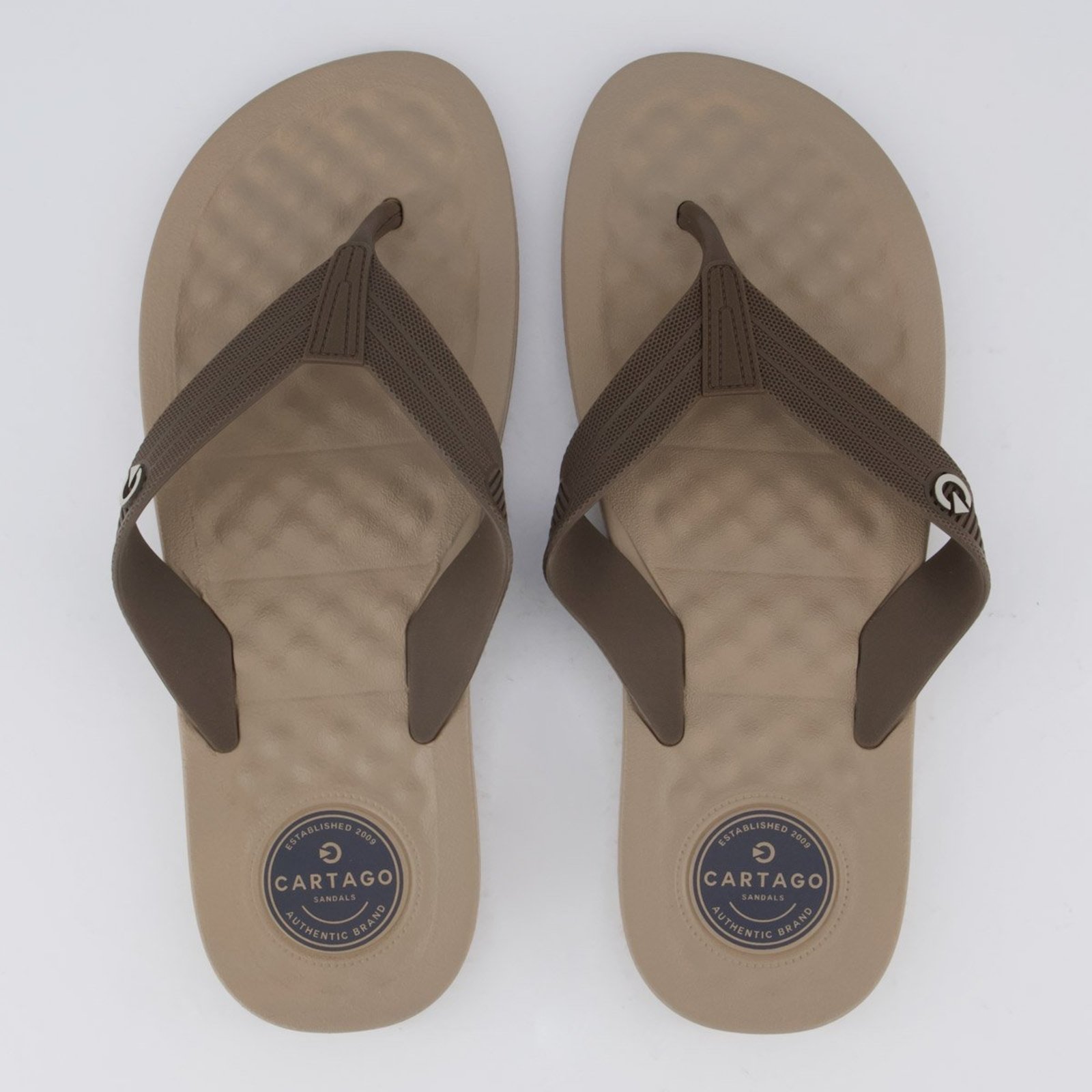 Chinelo Cartago Arizona Light Bege