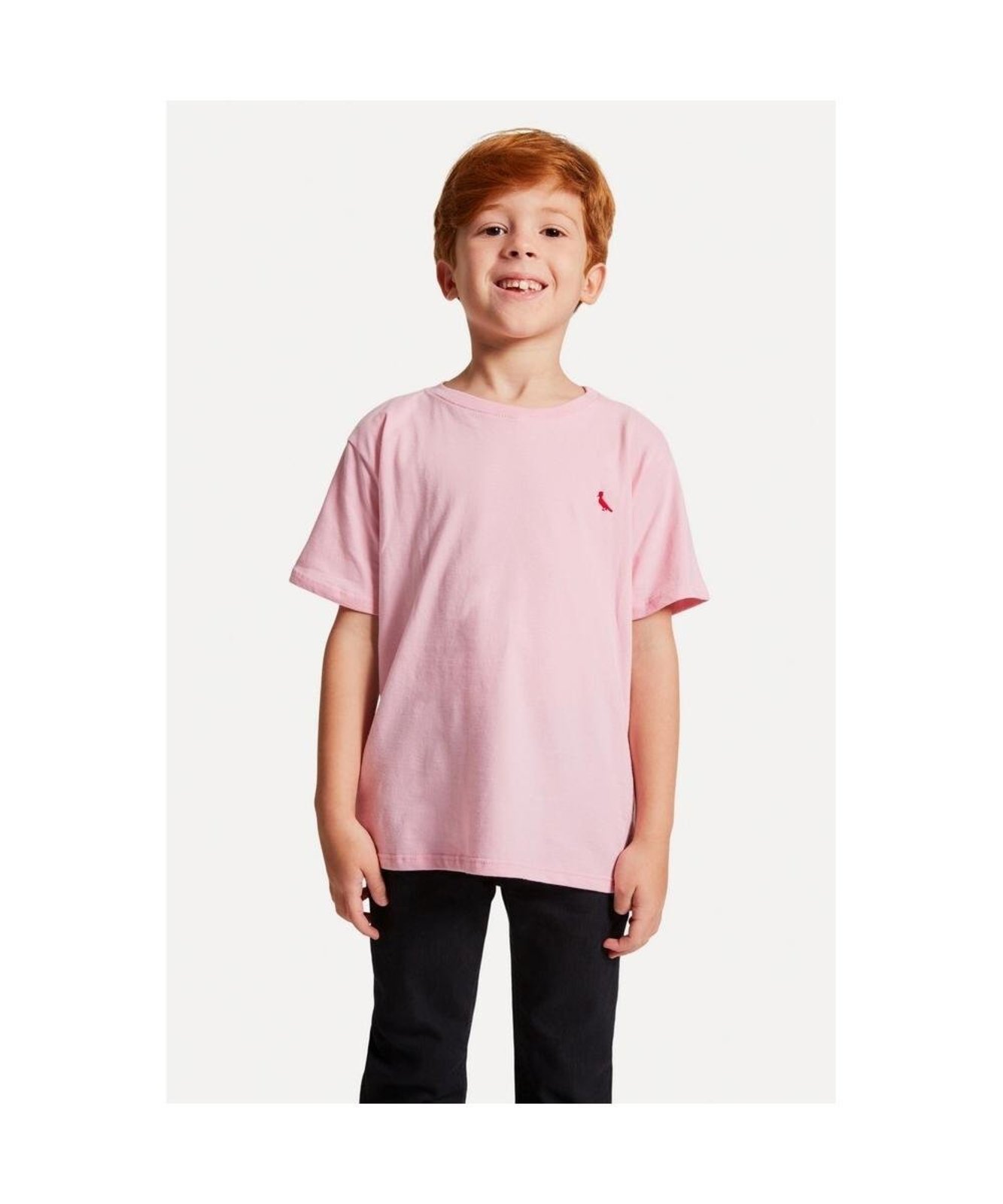 Infantil - Camiseta Brasa Pica Pau Bordado Mini Mini Reserva Mini