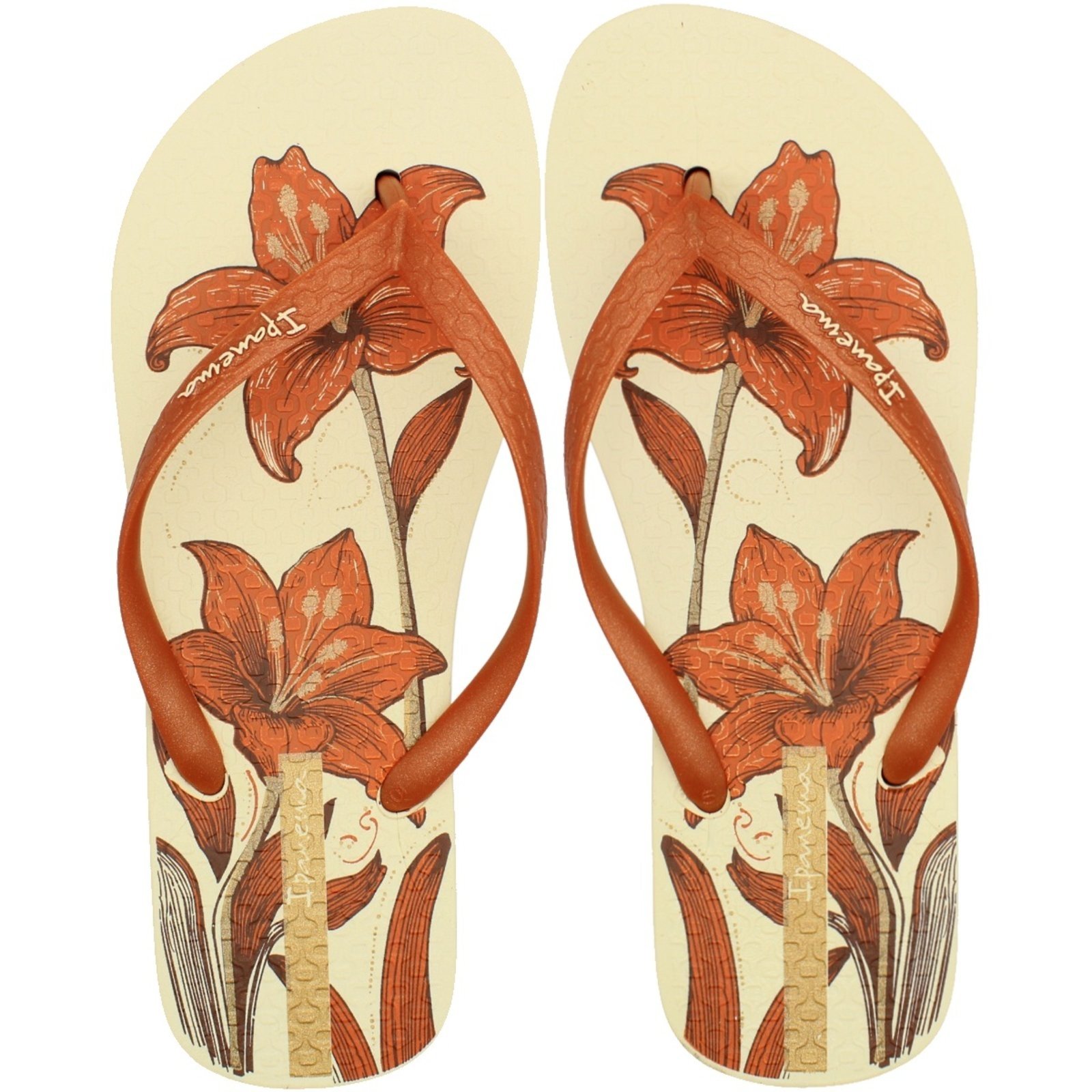 Chinelo Ipanema Oasis Feminino