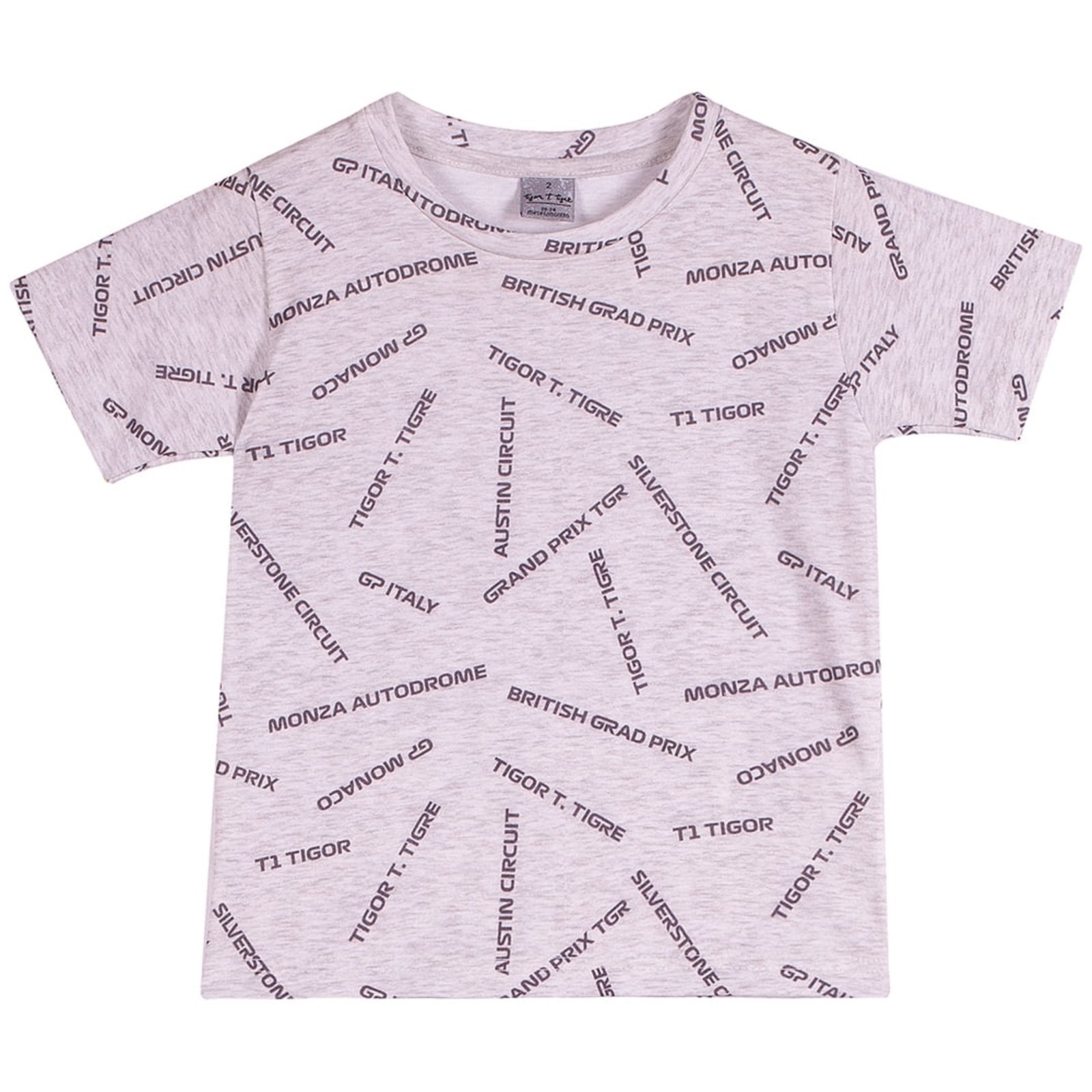 Infantil - Camiseta Masculina Tigor T. Tigre