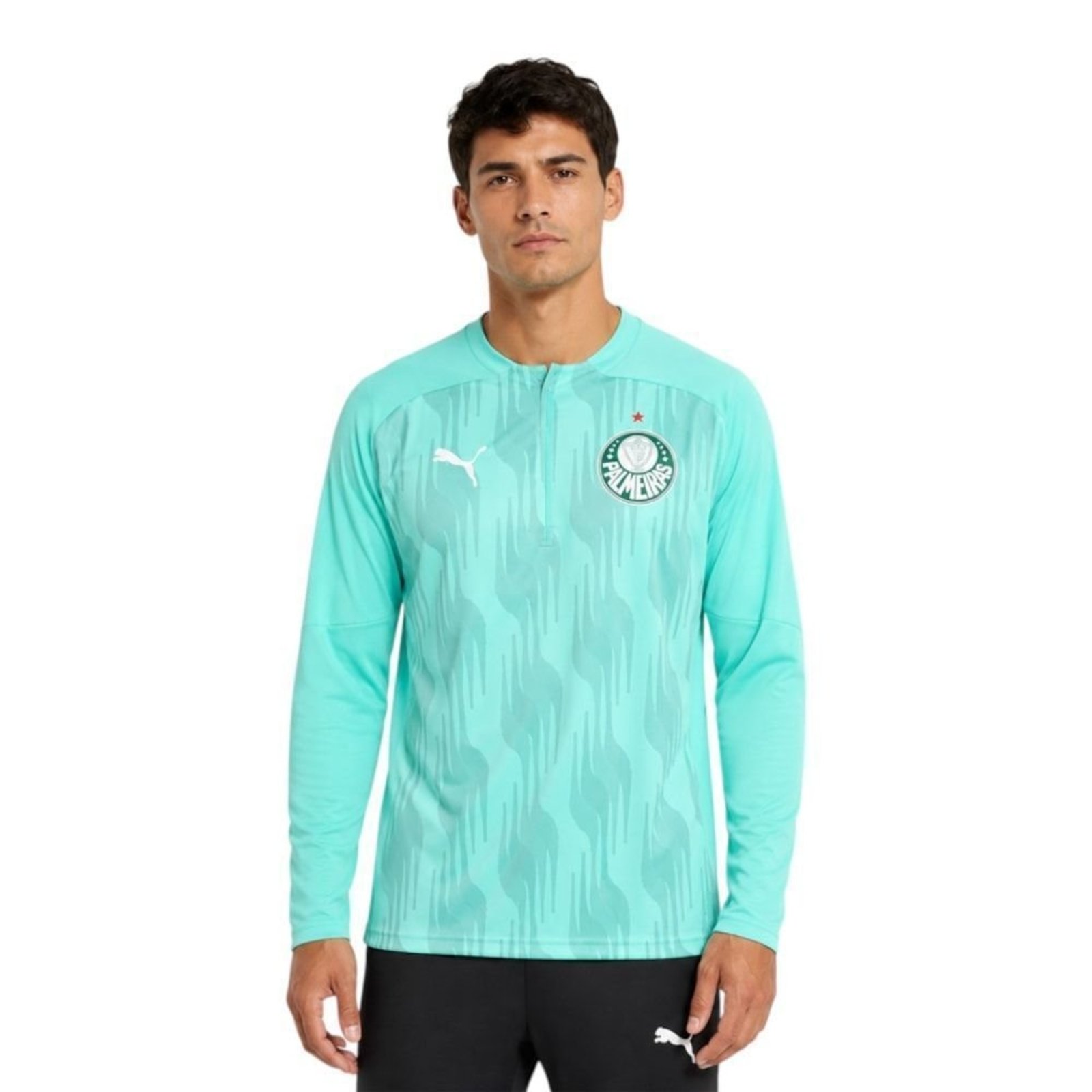 Jaqueta Puma Palmeiras Pré Jogo 25/26 Masculina - Verde - Puma