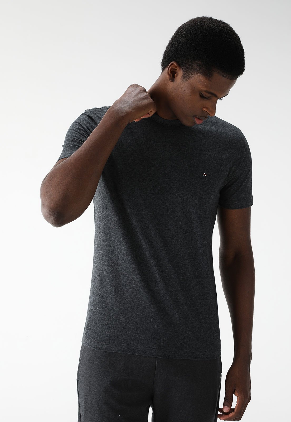 Camiseta Aramis Slim Mini Icon Grafite