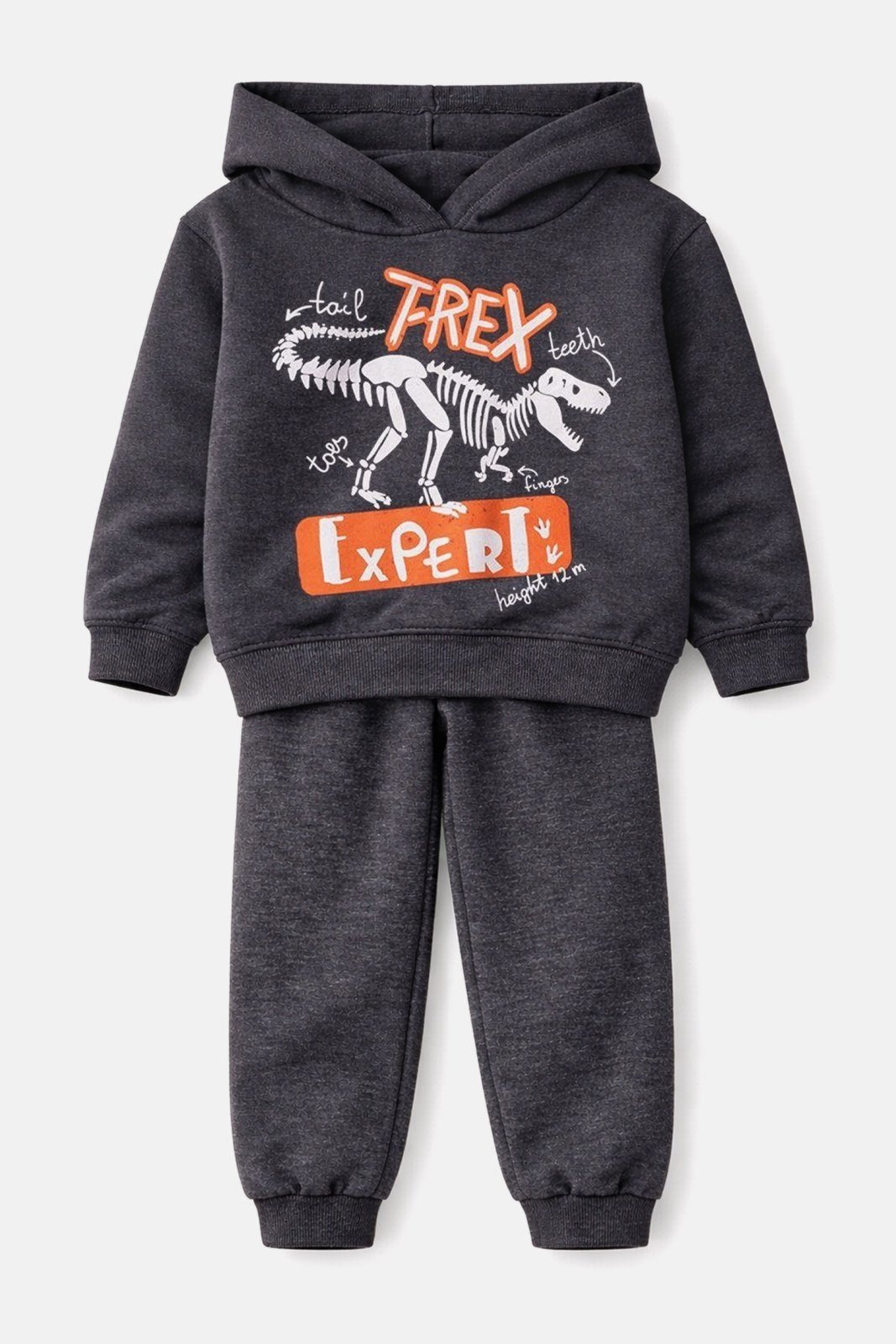 Vista 2 Infantil - Conjunto Moletom Básico T-Rex - Grafite Babei no Look cinza Babei no Look cinza