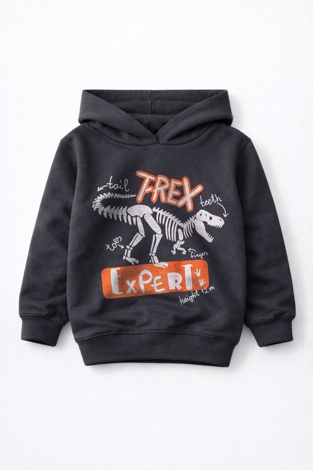 Vista 3 Infantil - Conjunto Moletom Básico T-Rex - Grafite Babei no Look cinza Babei no Look cinza