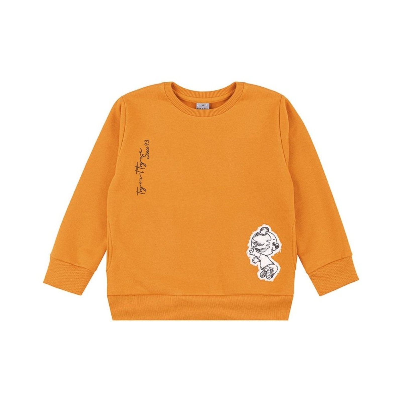 Infantil - Blusão Moletom Menino Tigor T. Tigre