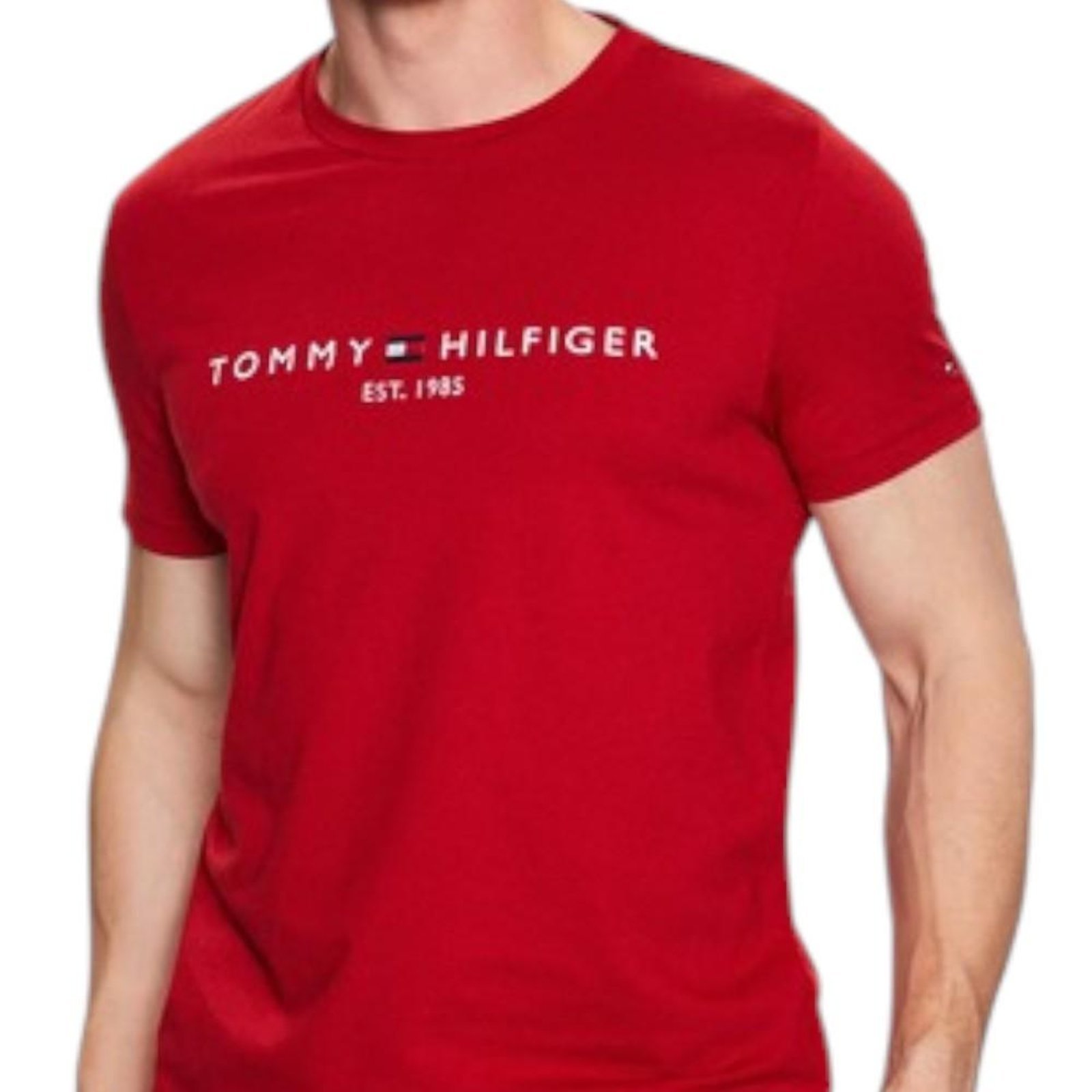 Camiseta Tommy Hilfiger Logo Tee Masculina Vermelho