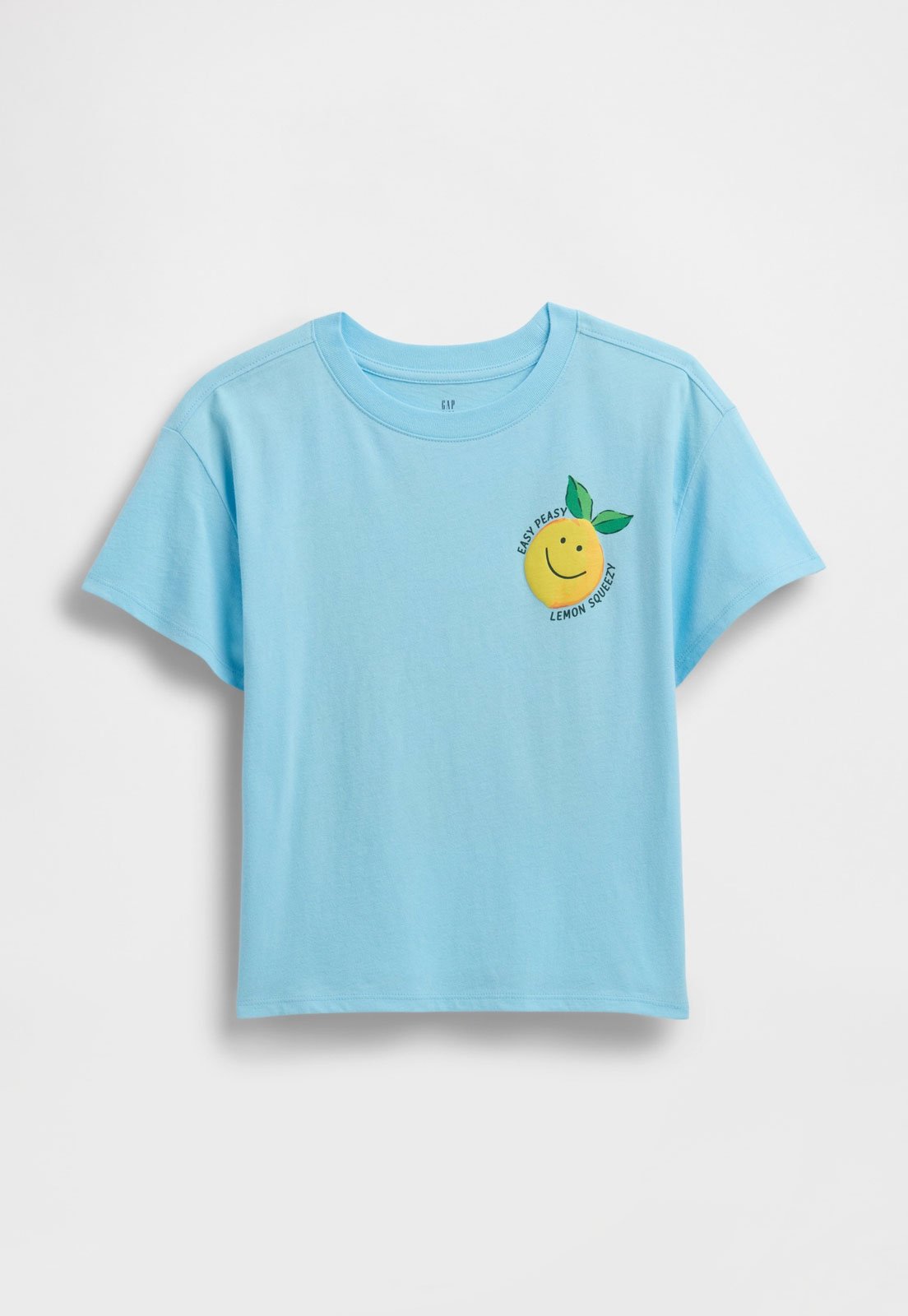Infantil – Camiseta Manga Curta GAP Frutas Azul