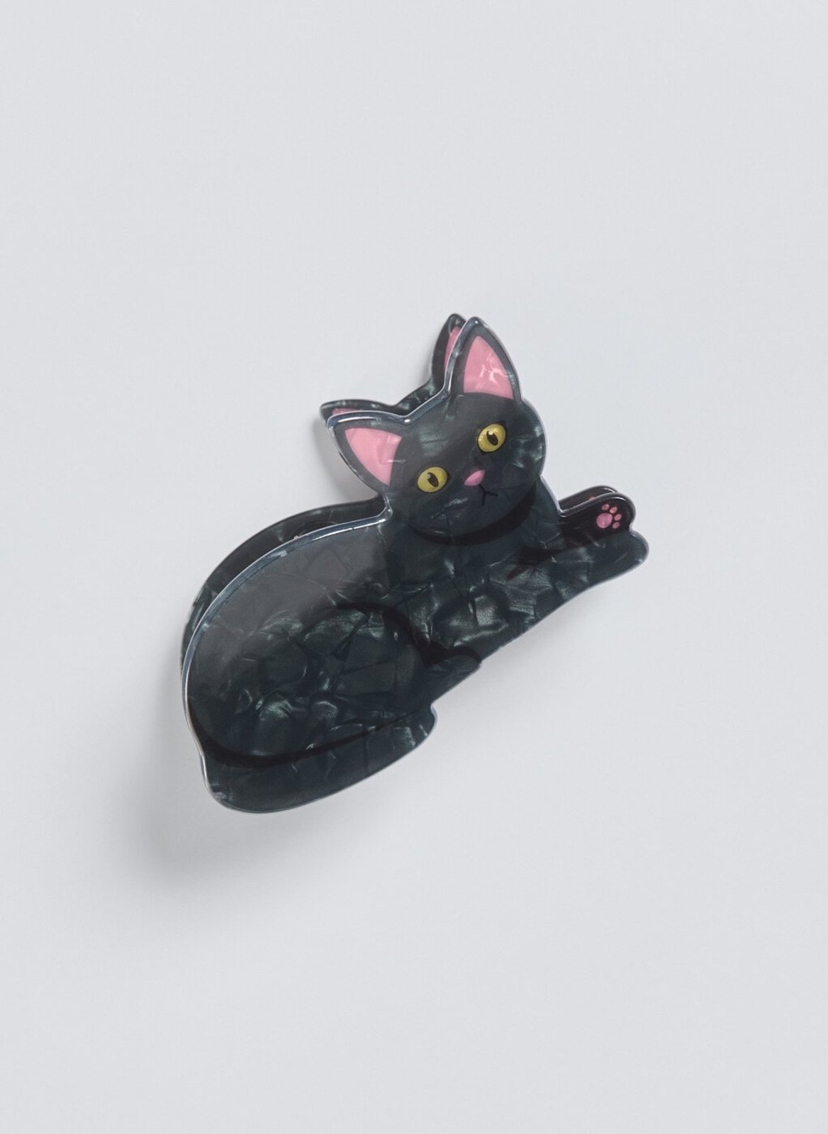 Piranha Gato Preto