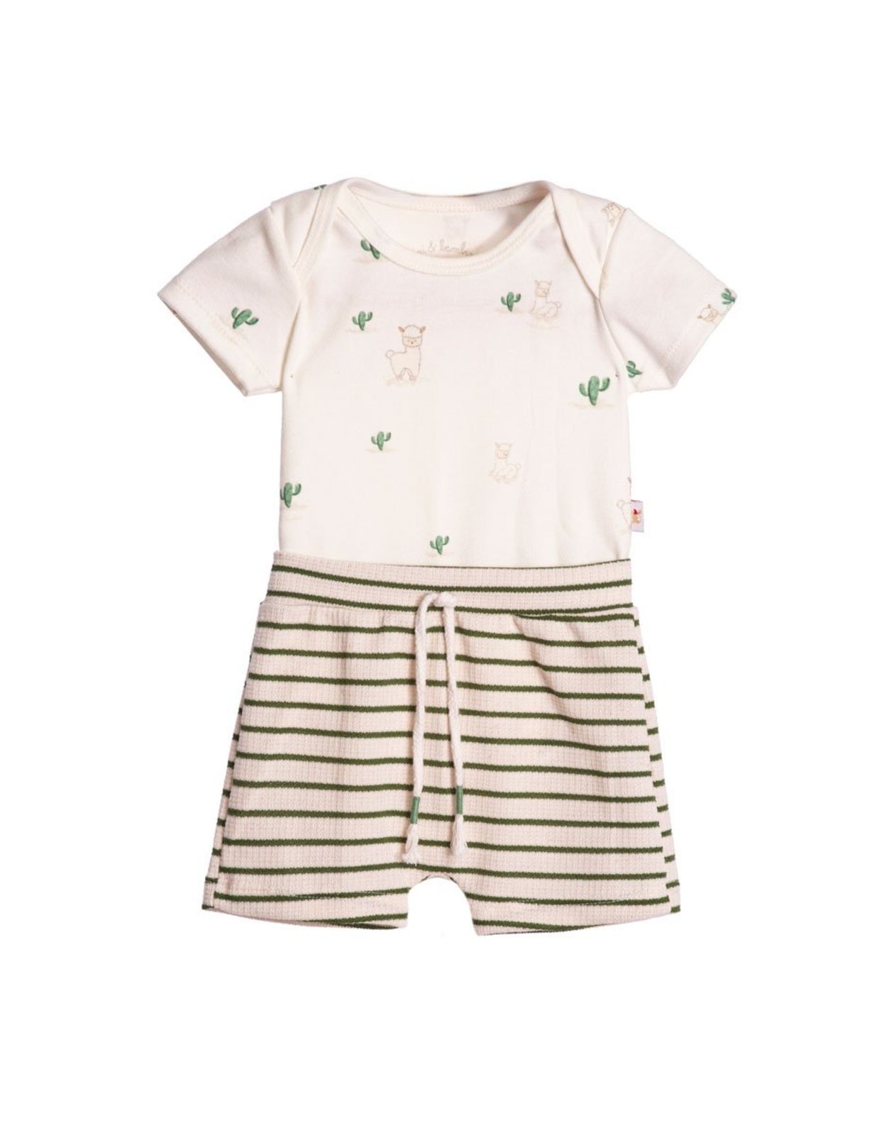 Infantil - Conjunto body suedine estampado lhama e bermuda malha texturizada verde