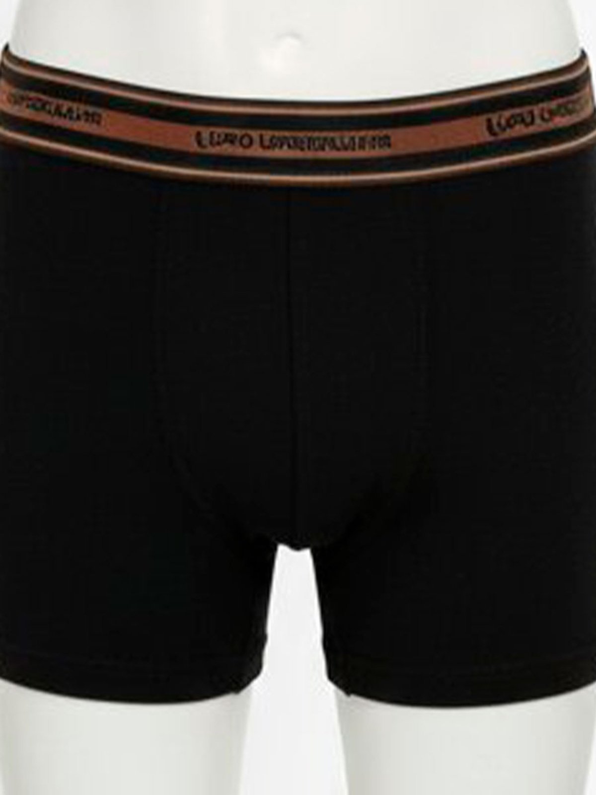 Cueca Boxer Lupinho 141-003