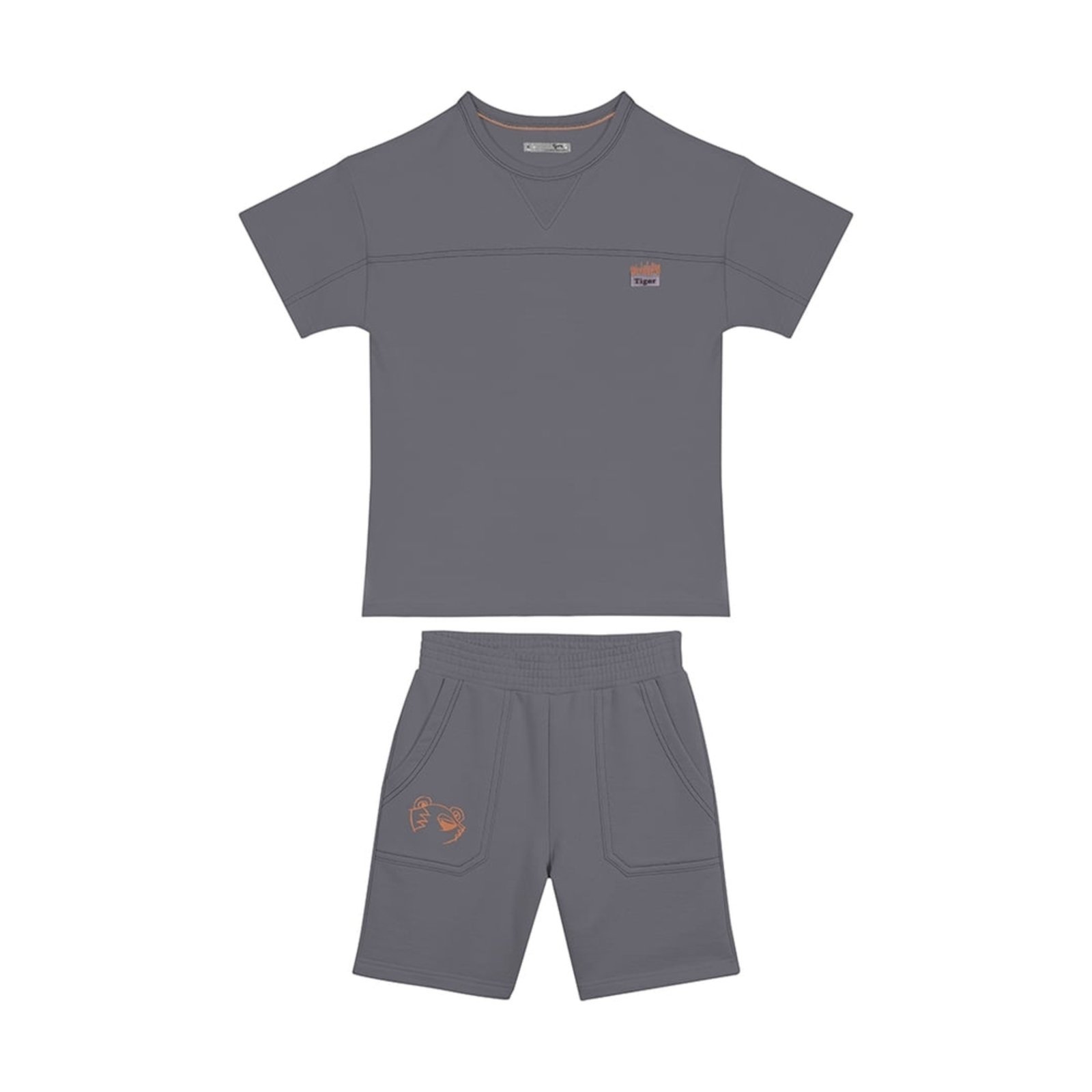 Infantil - Conjunto Curto Masculino Tigor T. Tigre