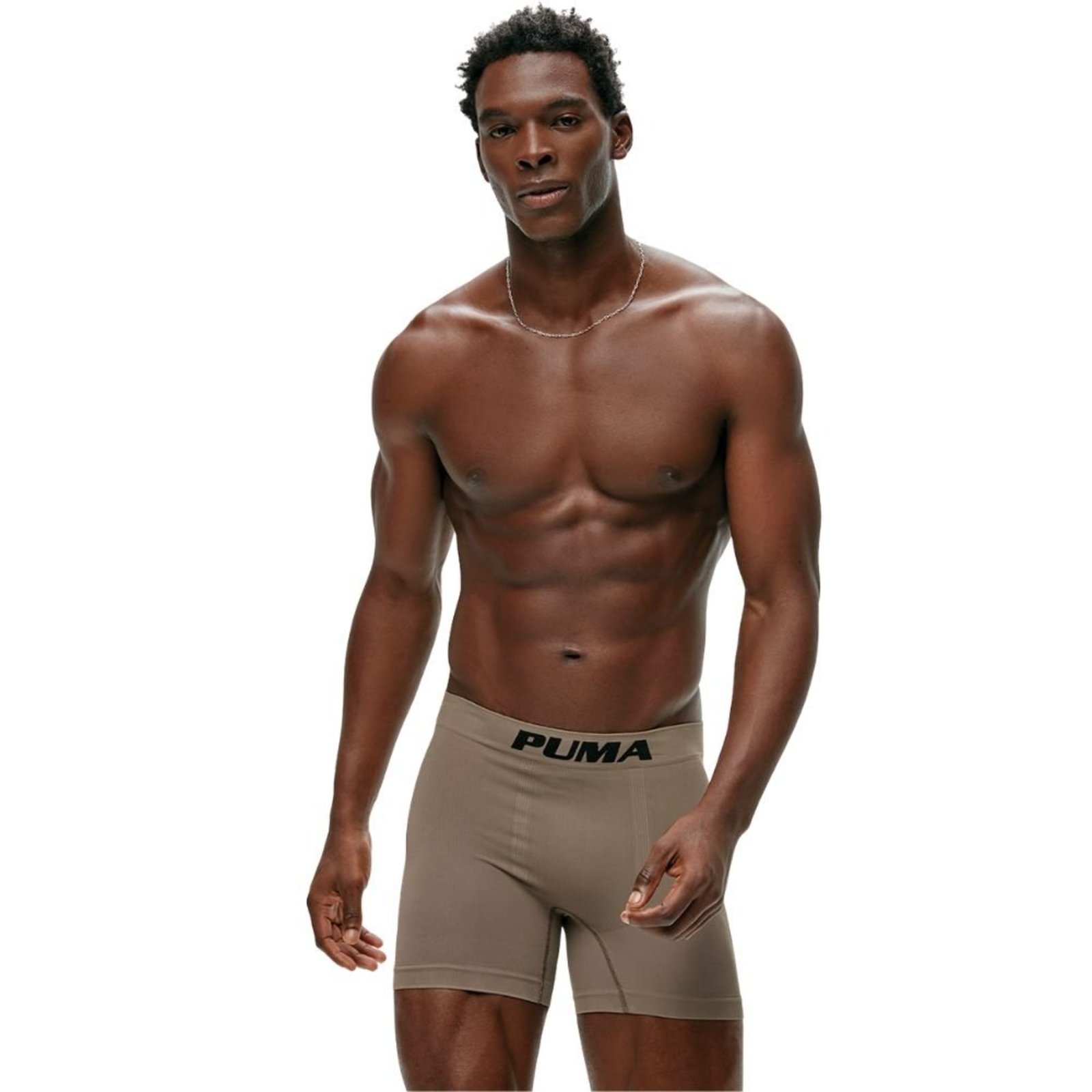 Cueca Boxer Microfibra Sem Costura Adulto Puma 14171.001
