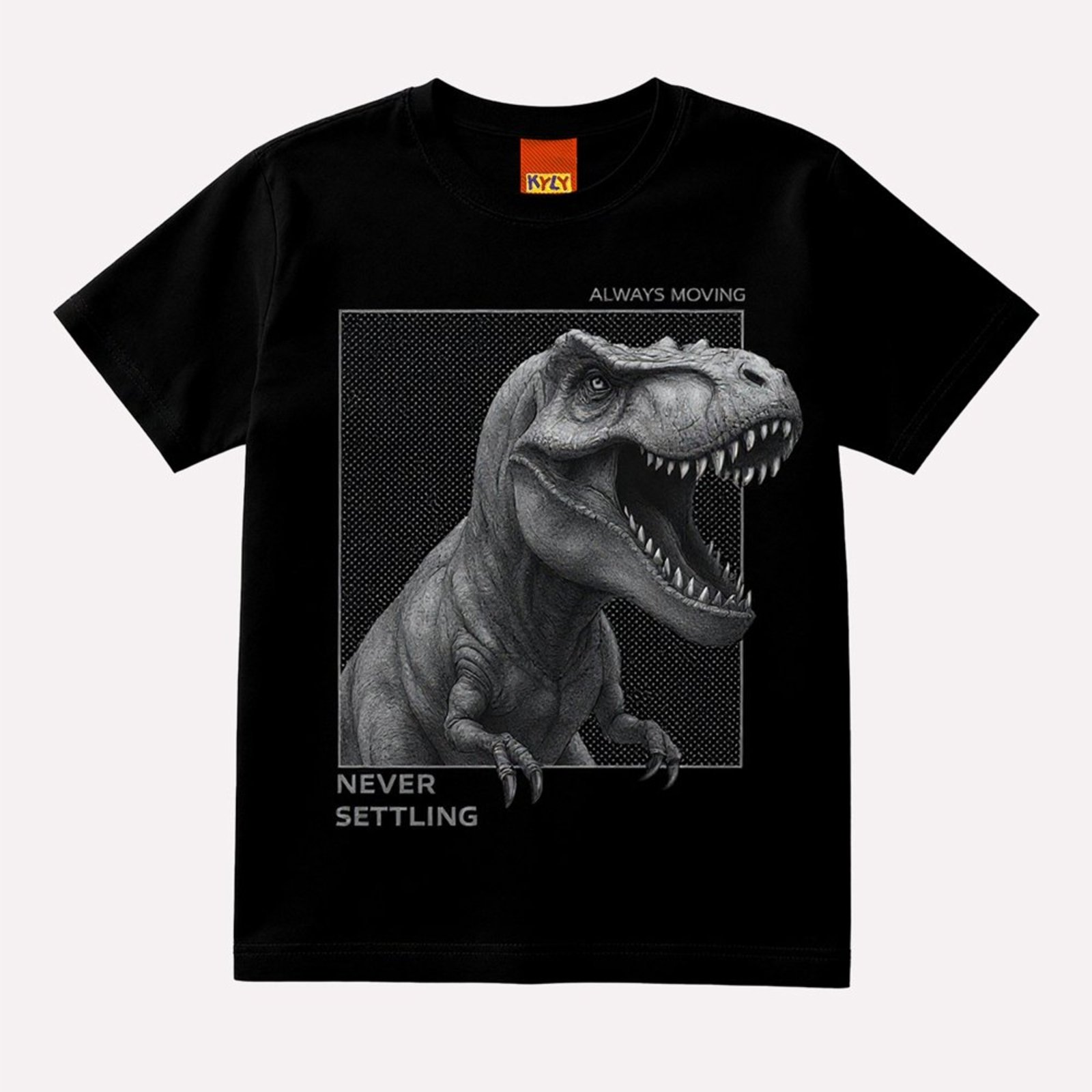 Infantil - Camiseta Menino Dinossauro Kyly