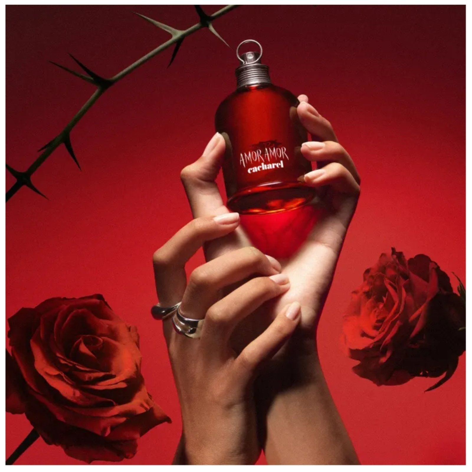 Vista 3 Amor Amor Cacharel Eau de Toilette - Perfume Feminino unico Cacharel unico