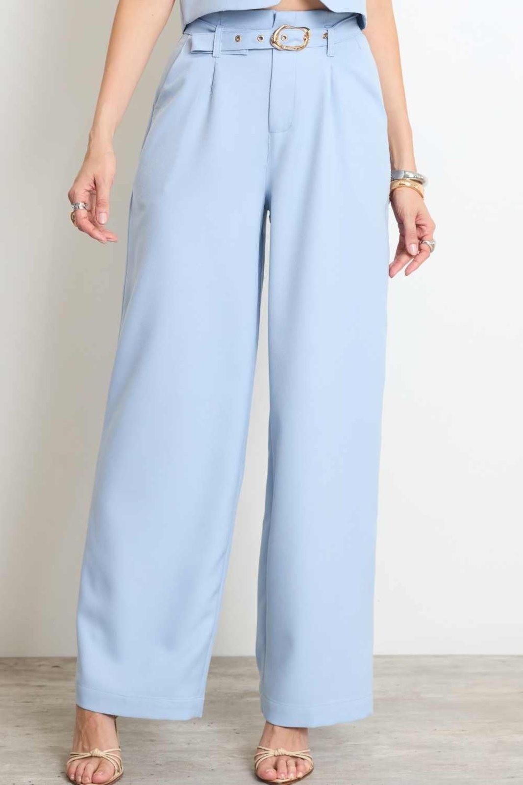 Calça Vanibele Wide Azul Claro