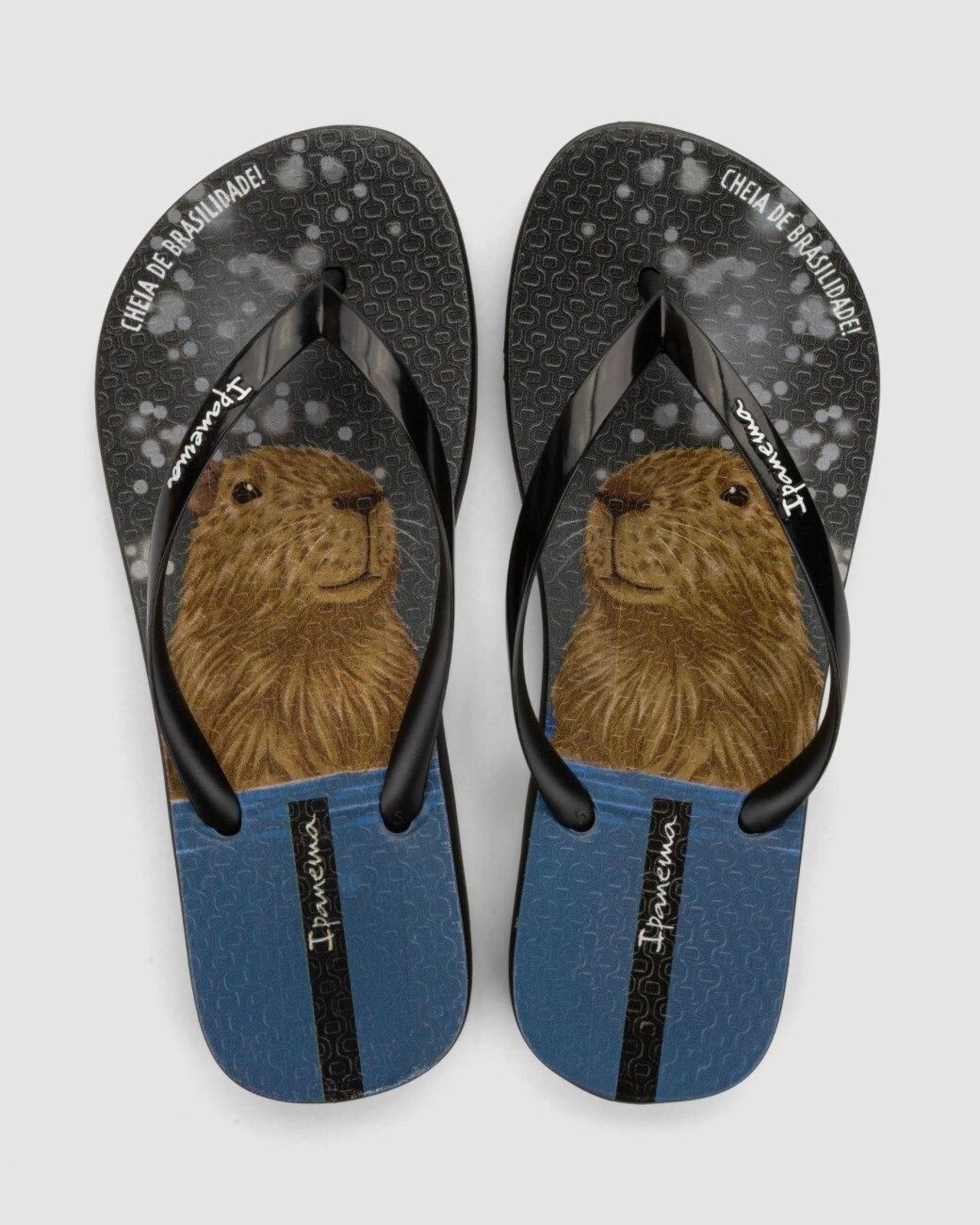Chinelo Ipanema Pets Pop Preto