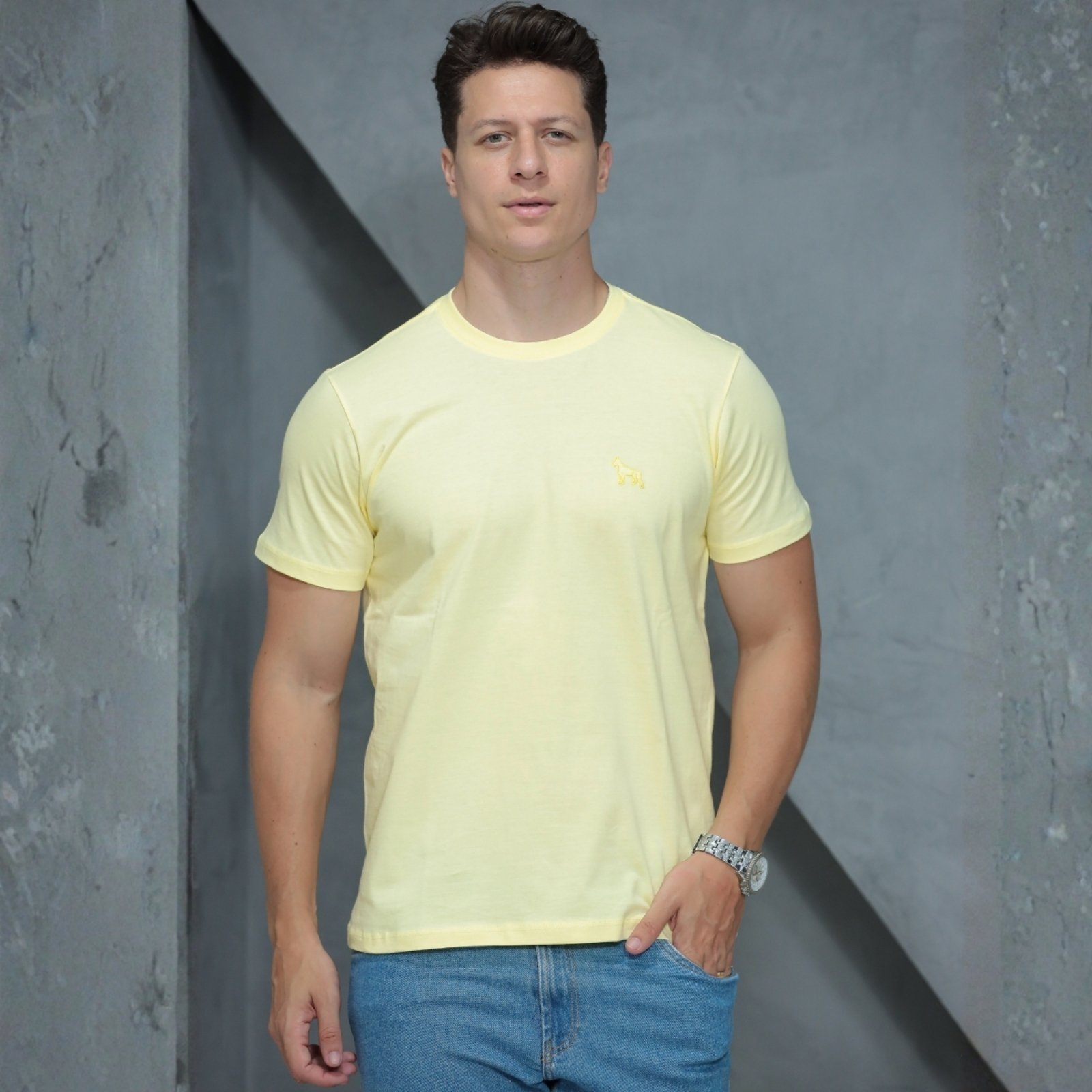 Camiseta Basica Manga Curta Masculino Revanche Foggiano
