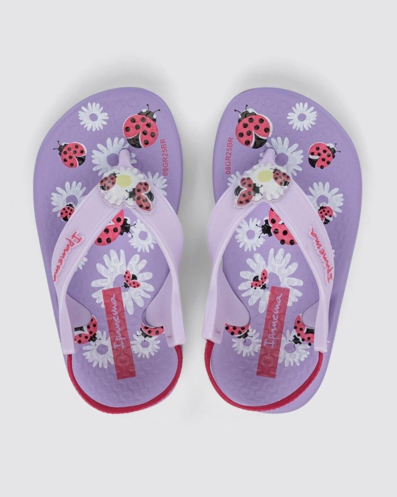 Infantil - Chinelo de Dedo Ipanema Anatomica Cute Roxo