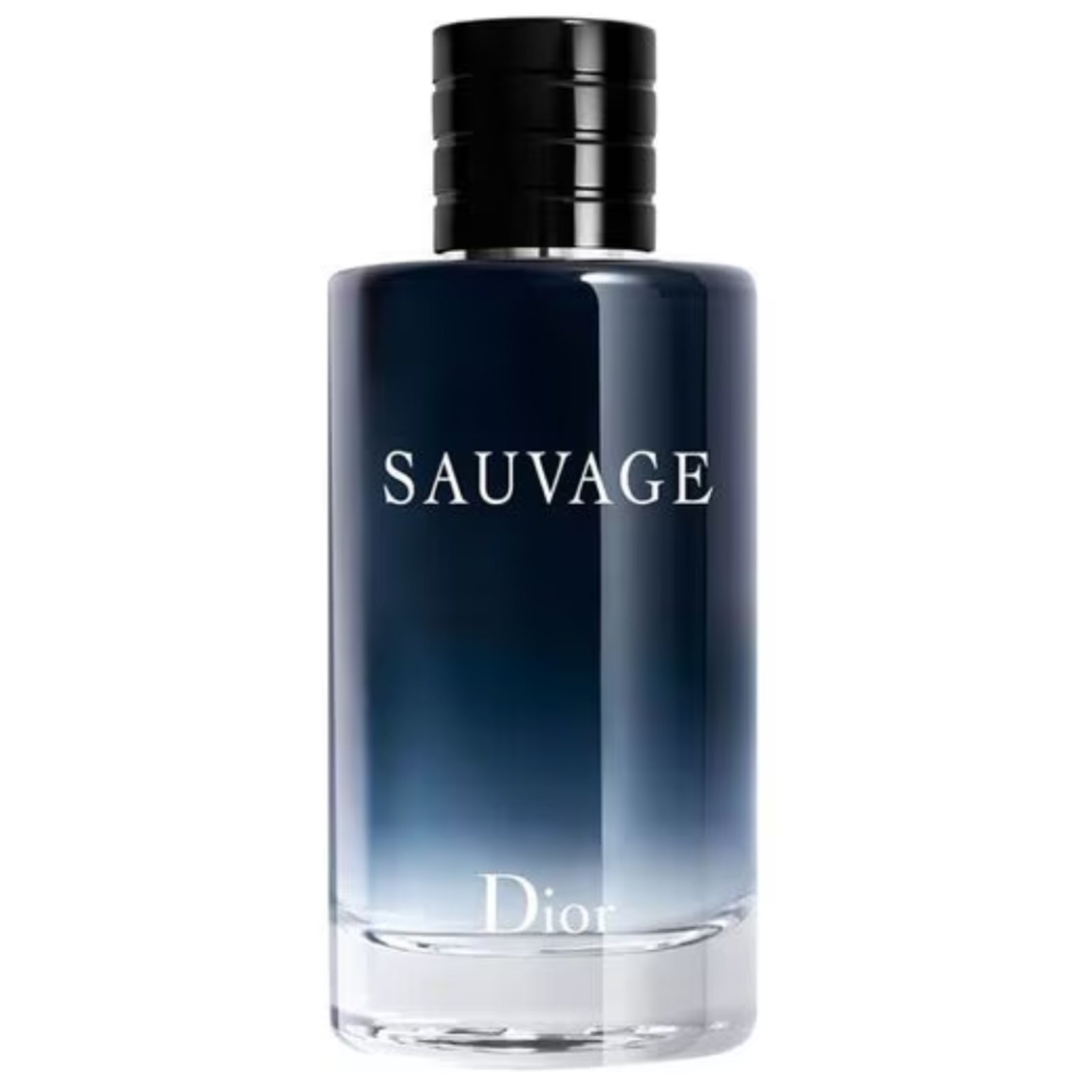 Sauvage Masculino Eau de Toilette 100 ml