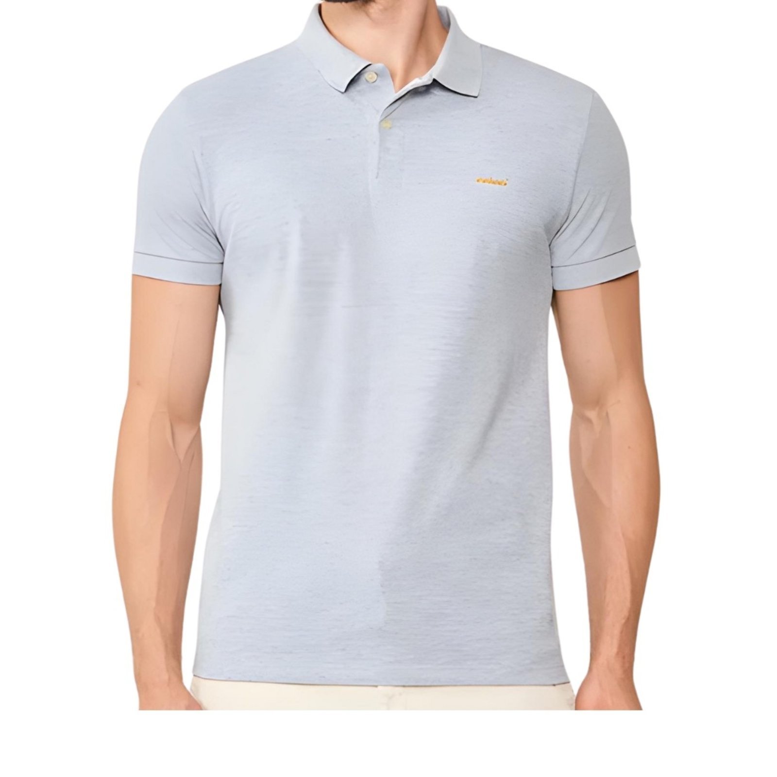 Camisa Polo Masculina Colcci Cores Básicas