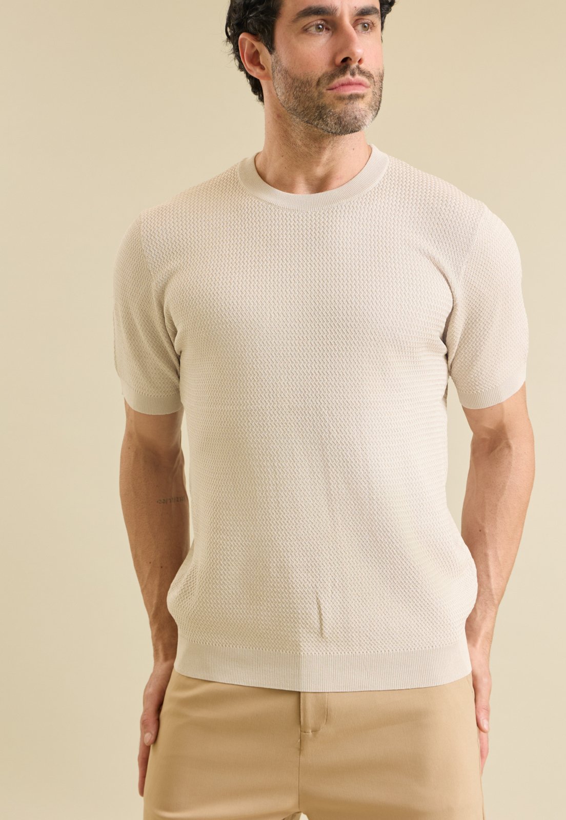 Camiseta Masculina Tricot Casual com Viscose Dialogo Bege