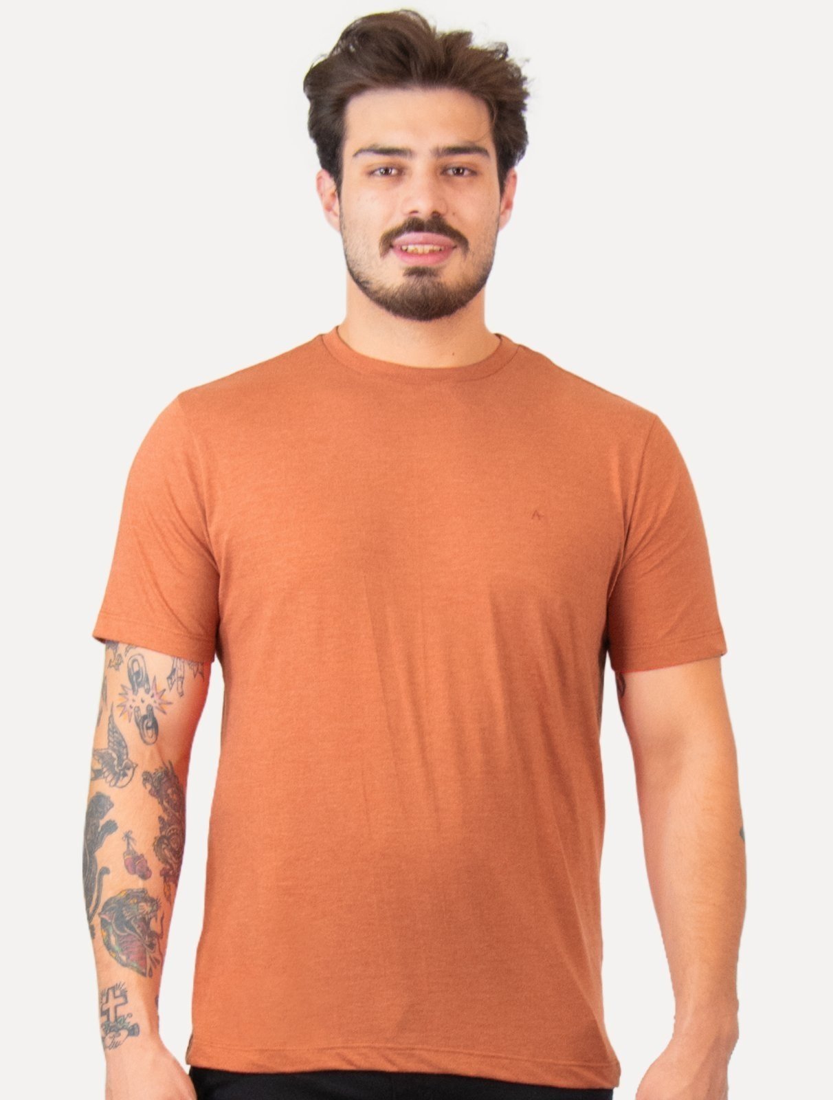 Camiseta Aramis Masculina Basic Lisa Mono Icon Terracota Mescla