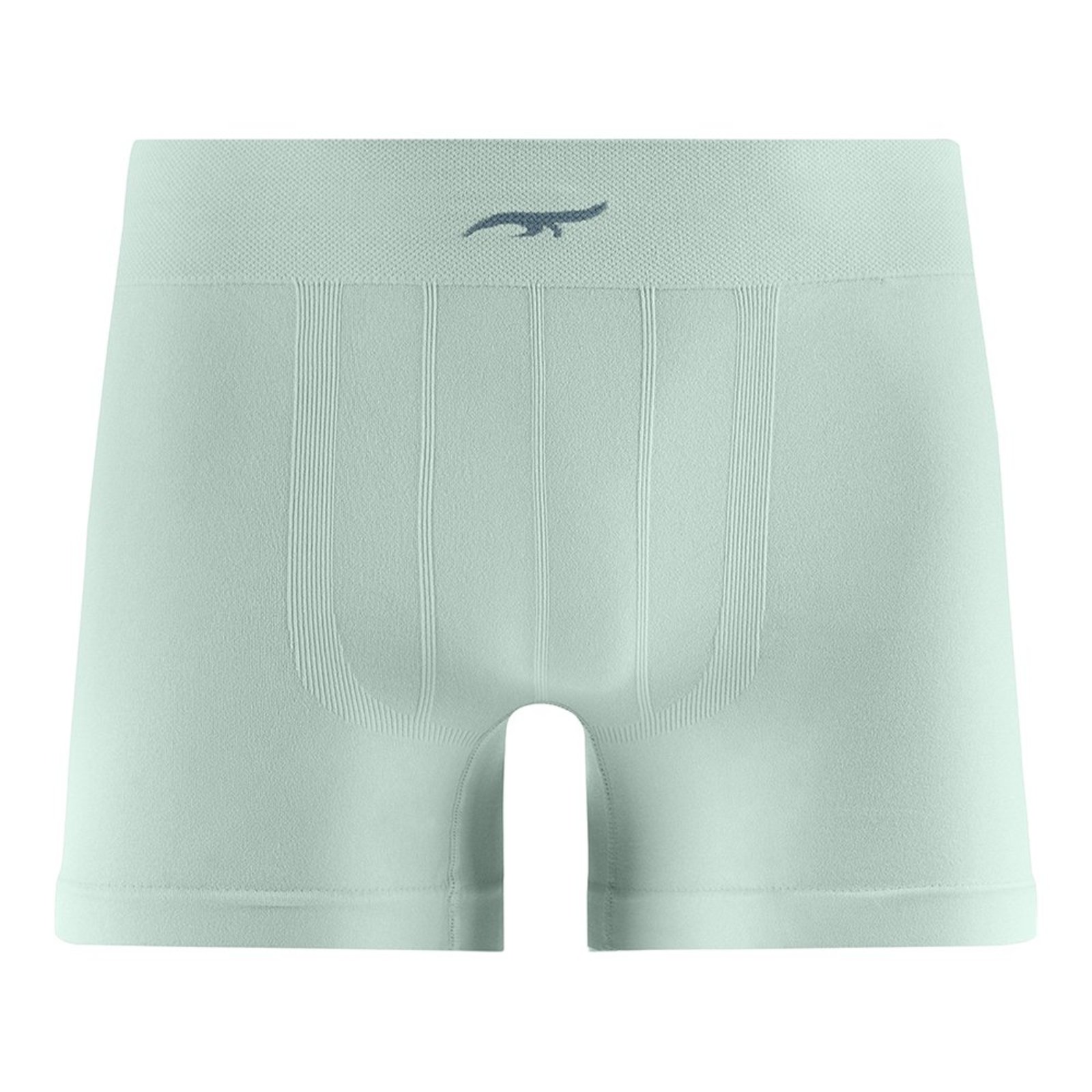 Cueca Boxer Sem Costura Verde Claro