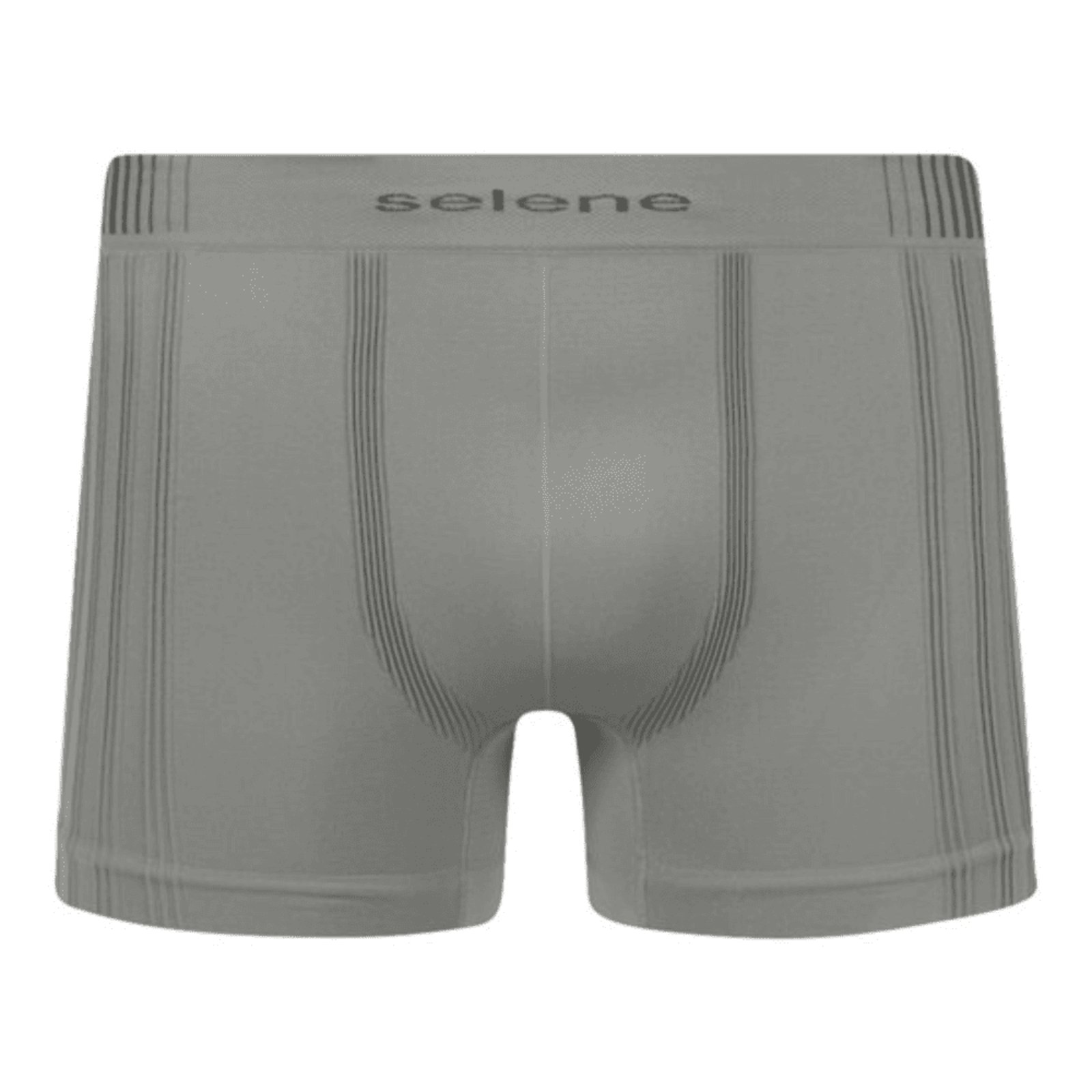 Cueca Selene Boxer Plus Size Sem Costura 11170.001
